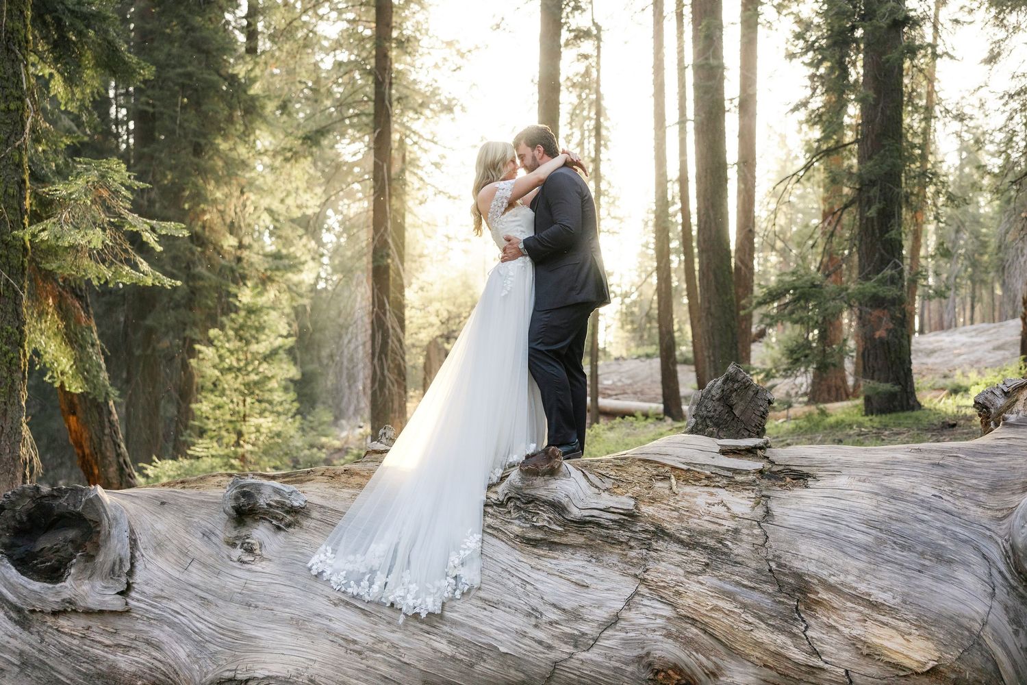 Elopement in Sequoia National Park, California