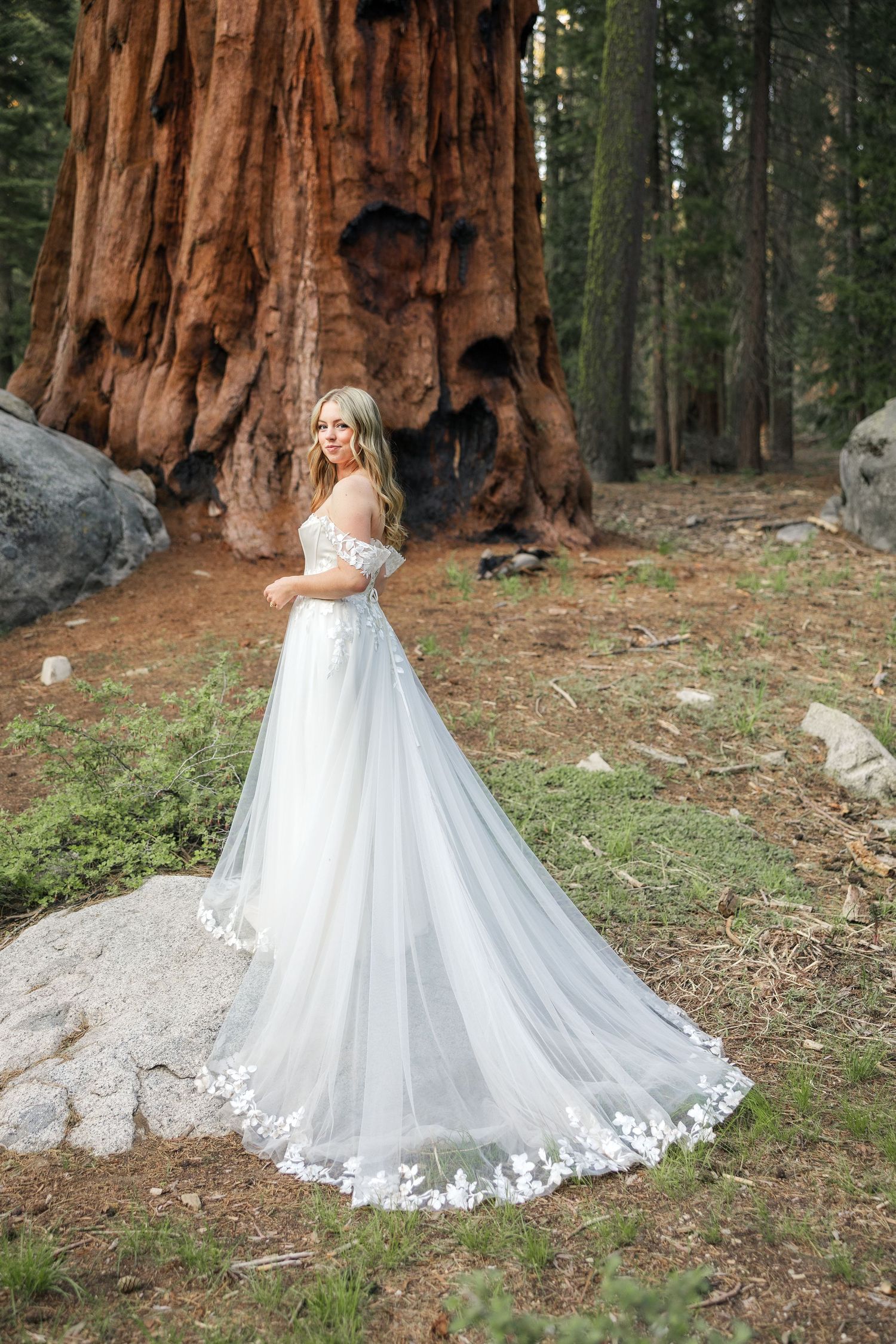Elopement in Sequoia National Park, California