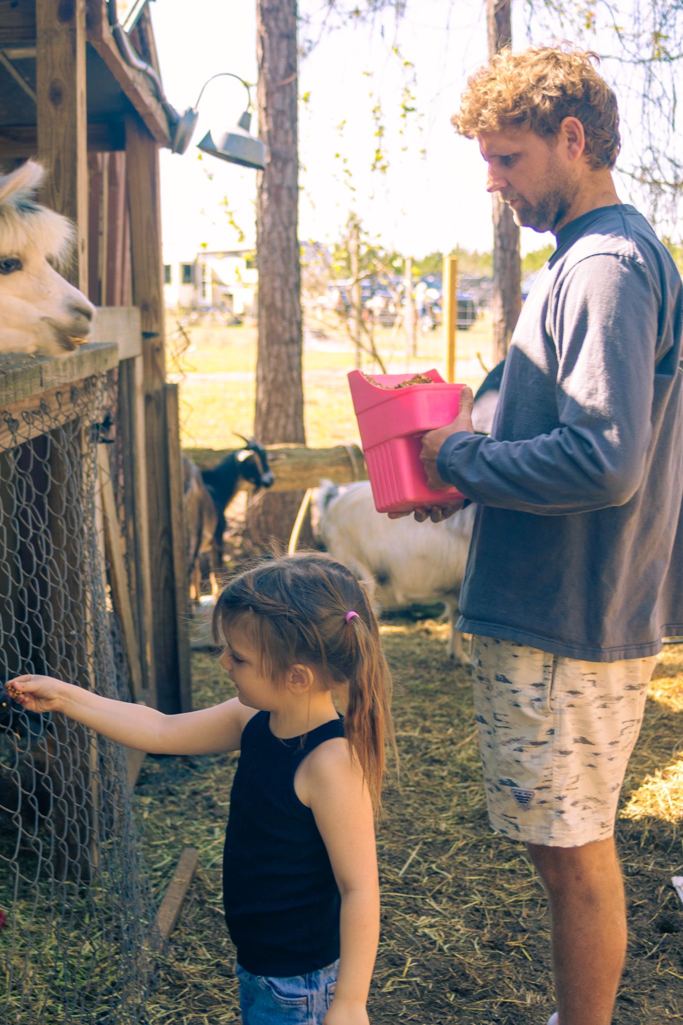 Life and family