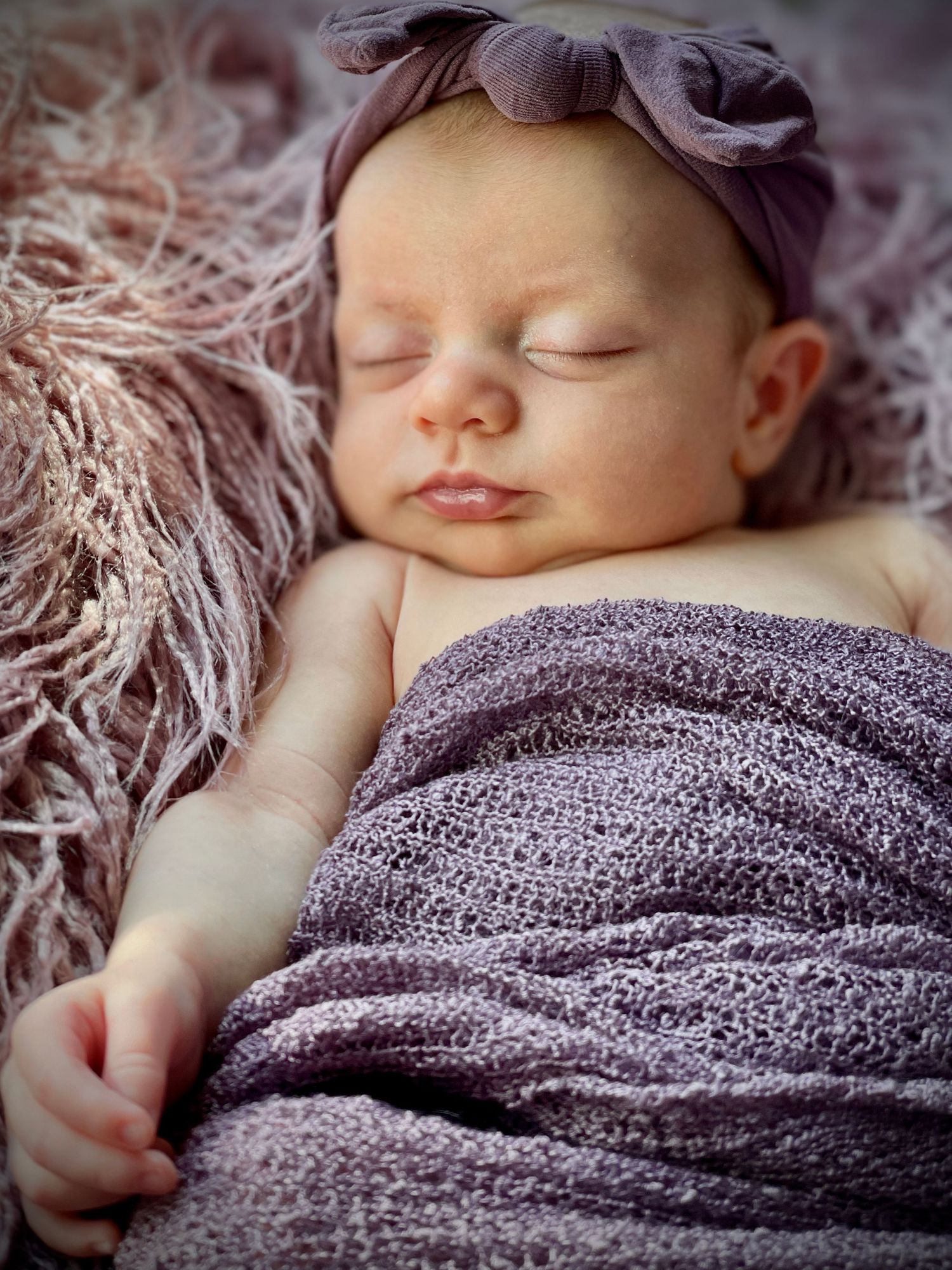 Newborn Photo Shoots