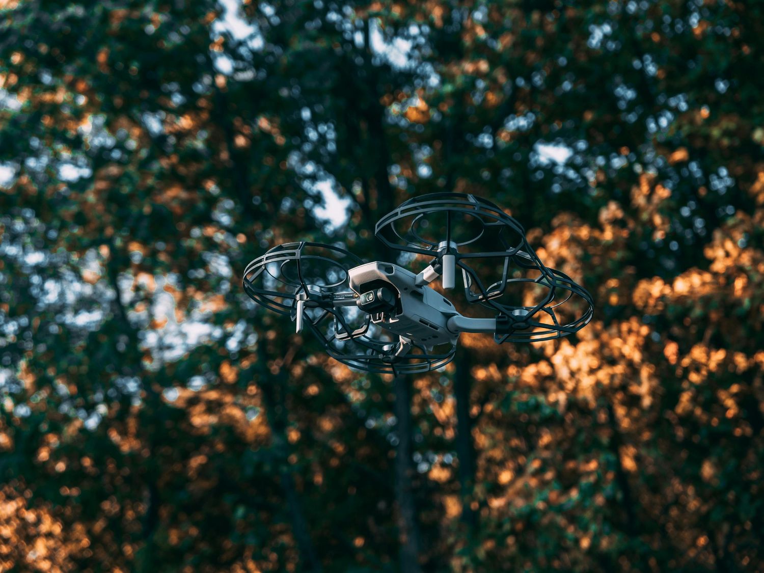A DJI drone with protective guards flying among autumn-colored trees in a forest.