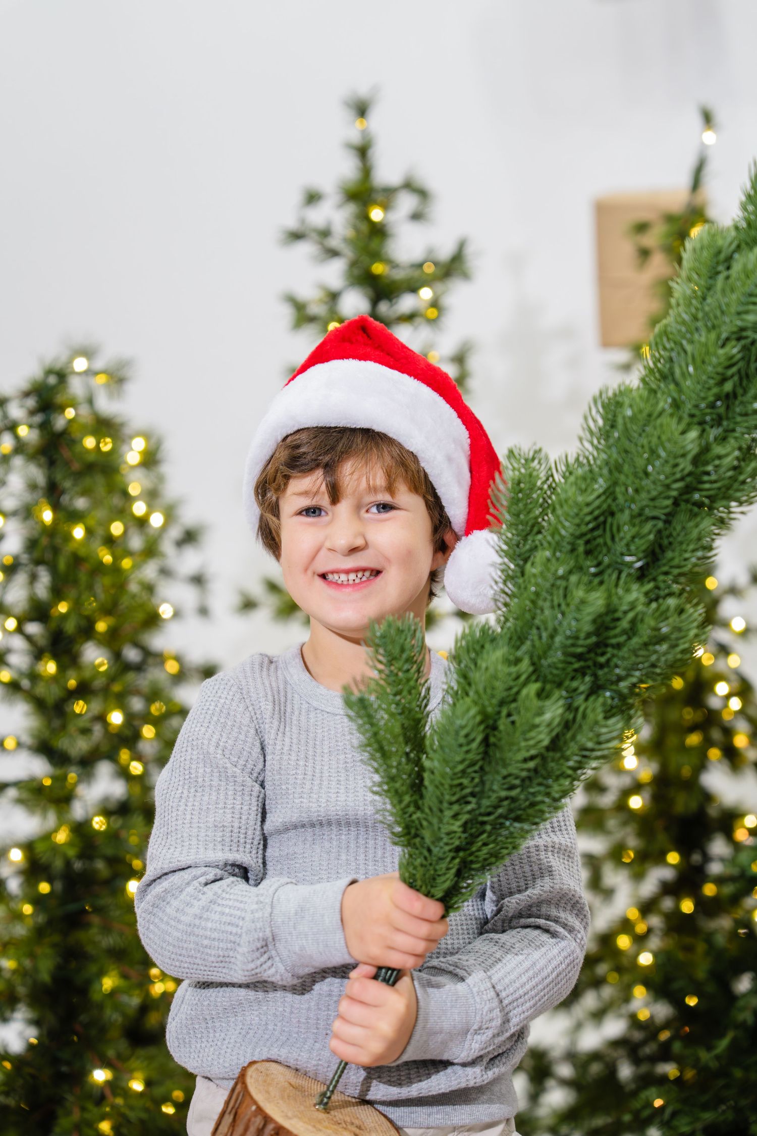 Smiling boy in a Santa hat holding a small Christmas tree in a festive holiday setting.