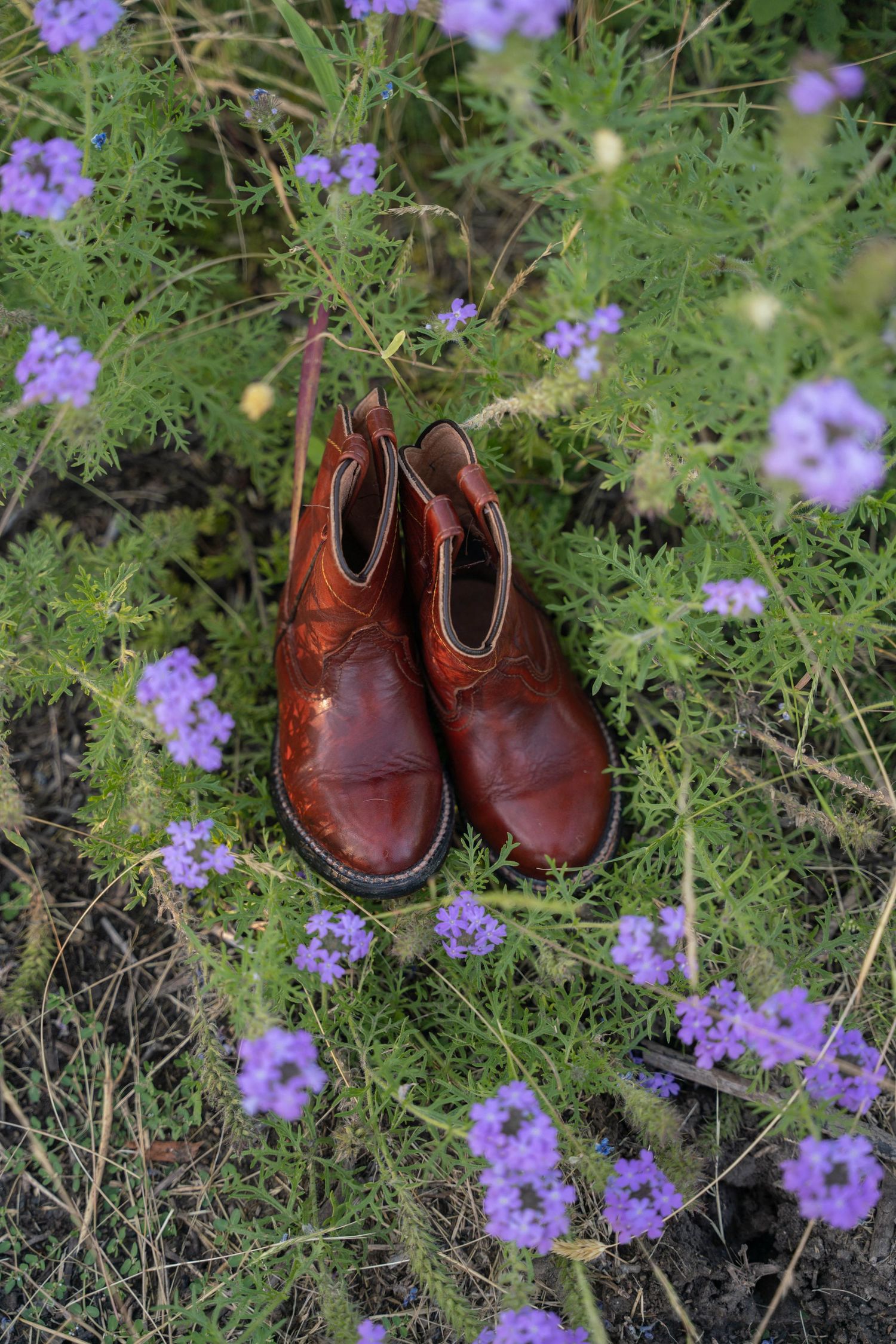 Brown leather ankle boots placed among purple wildflowers and green foliage outdoors.
