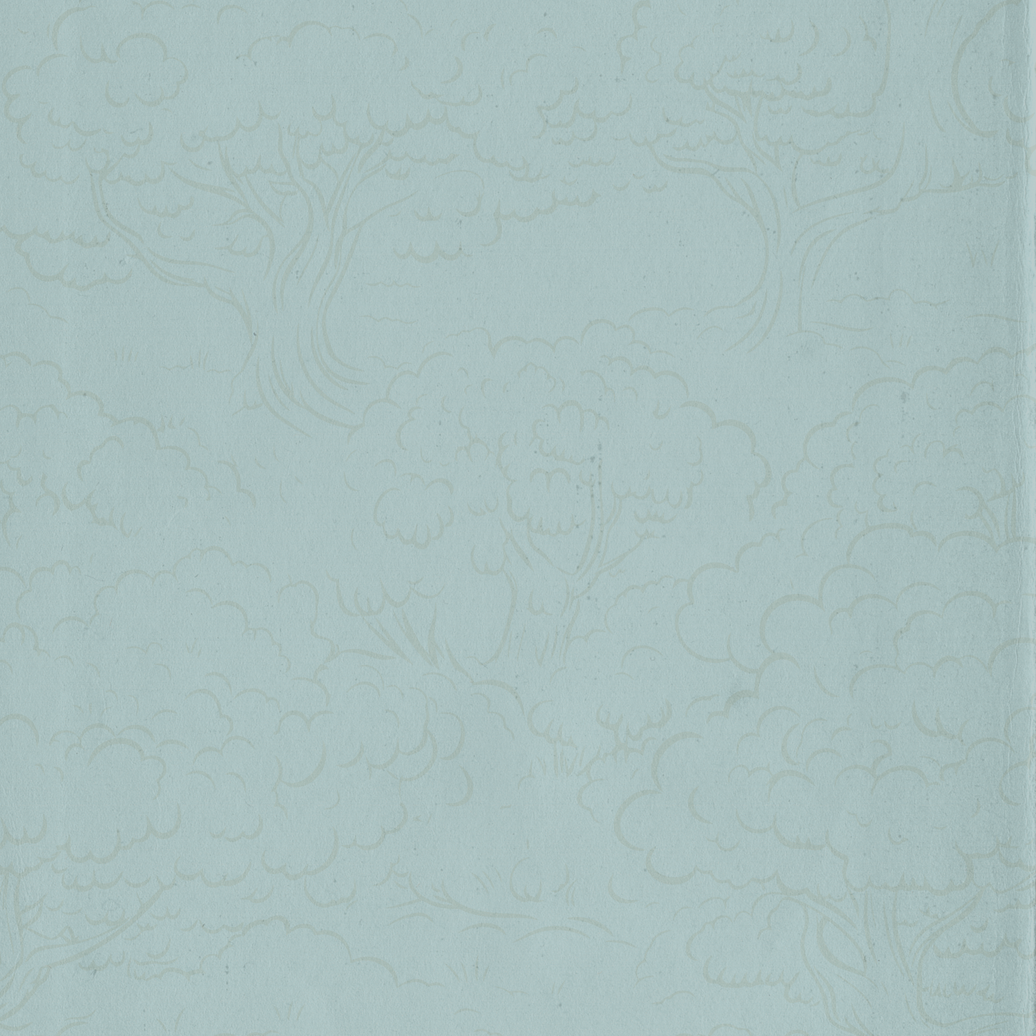 Plain soft sage green textured background with subtle embossed floral pattern for design use.