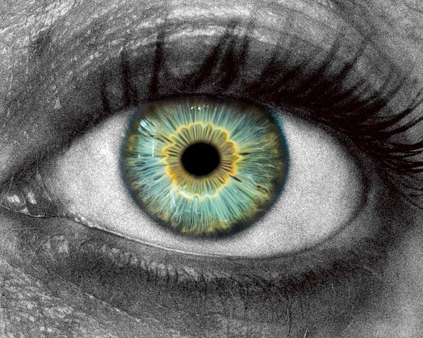 Close-up macro photo of a striking green and yellow human eye with detailed iris.