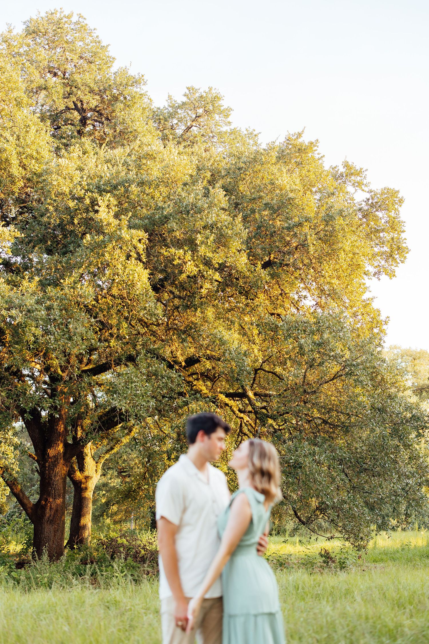 A couple stands together in a sun-drenched meadow beneath golden oak trees during golden hour.