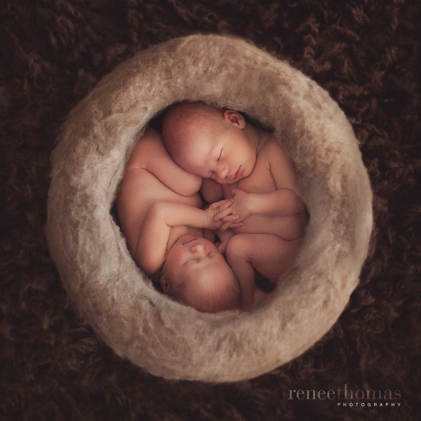 Two newborn twins sleeping peacefully curled together inside a round woolly nest bowl.