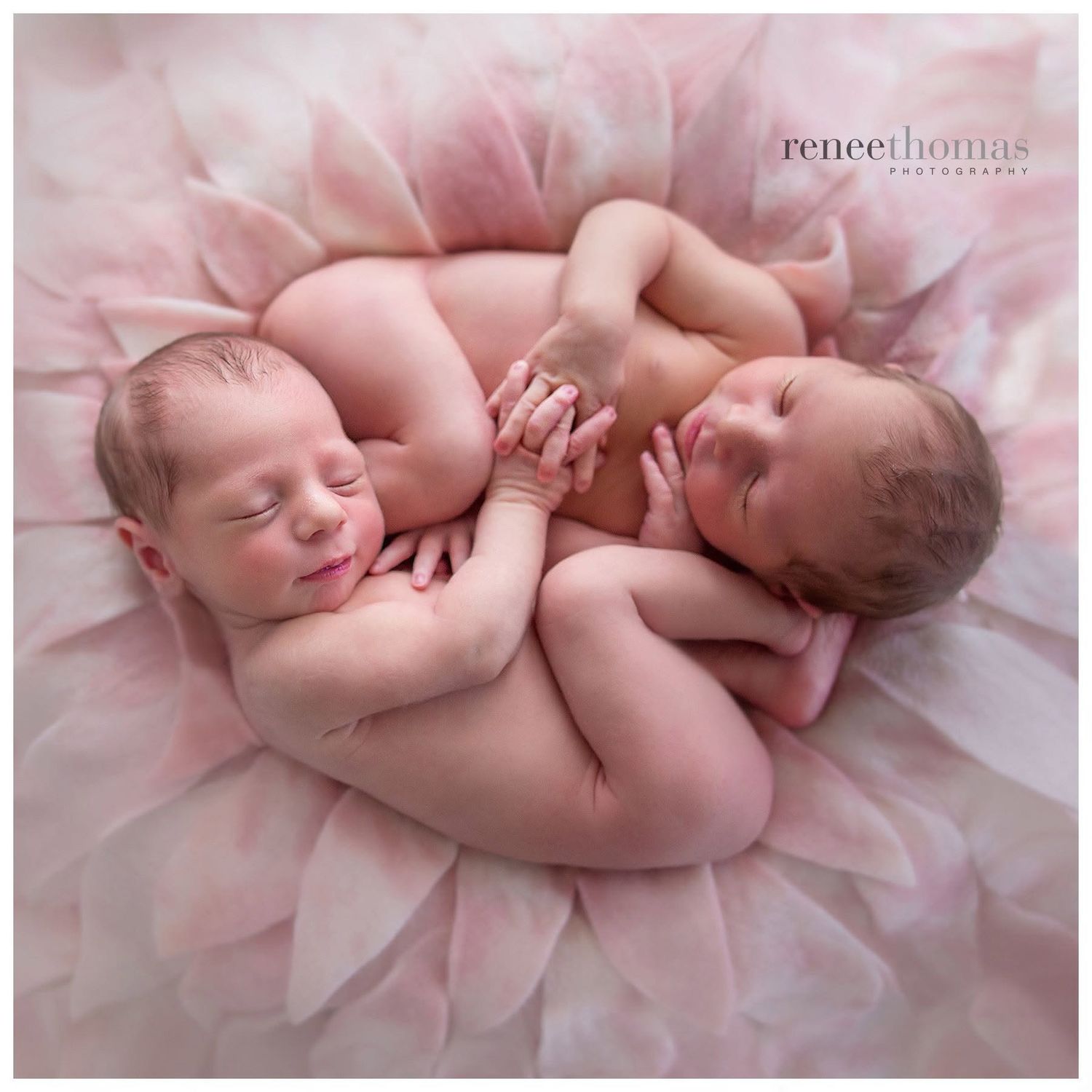Two sleeping newborn twins curled together on a pink tulle backdrop by Renee Thomas Photography.