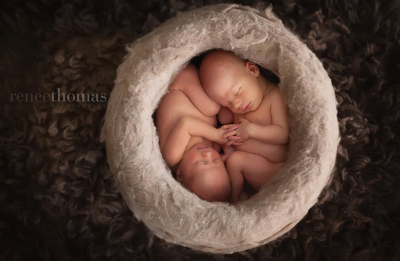 Newborn twins sleeping peacefully curled together in a rustic bowl by Renee Thomas Photography.