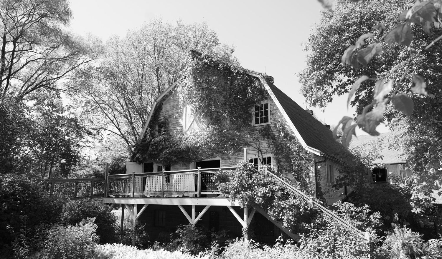 Black and white photograph of a vintage farmhouse with wraparound porch surrounded by trees.