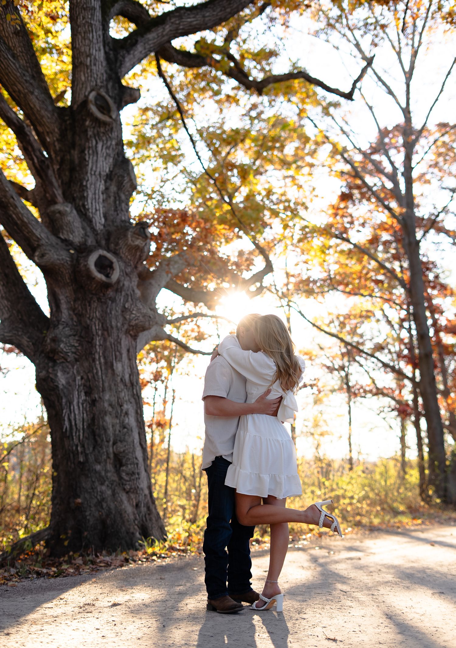 A romantic couple embraces under a majestic old tree during golden hour with autumn foliage in the background.