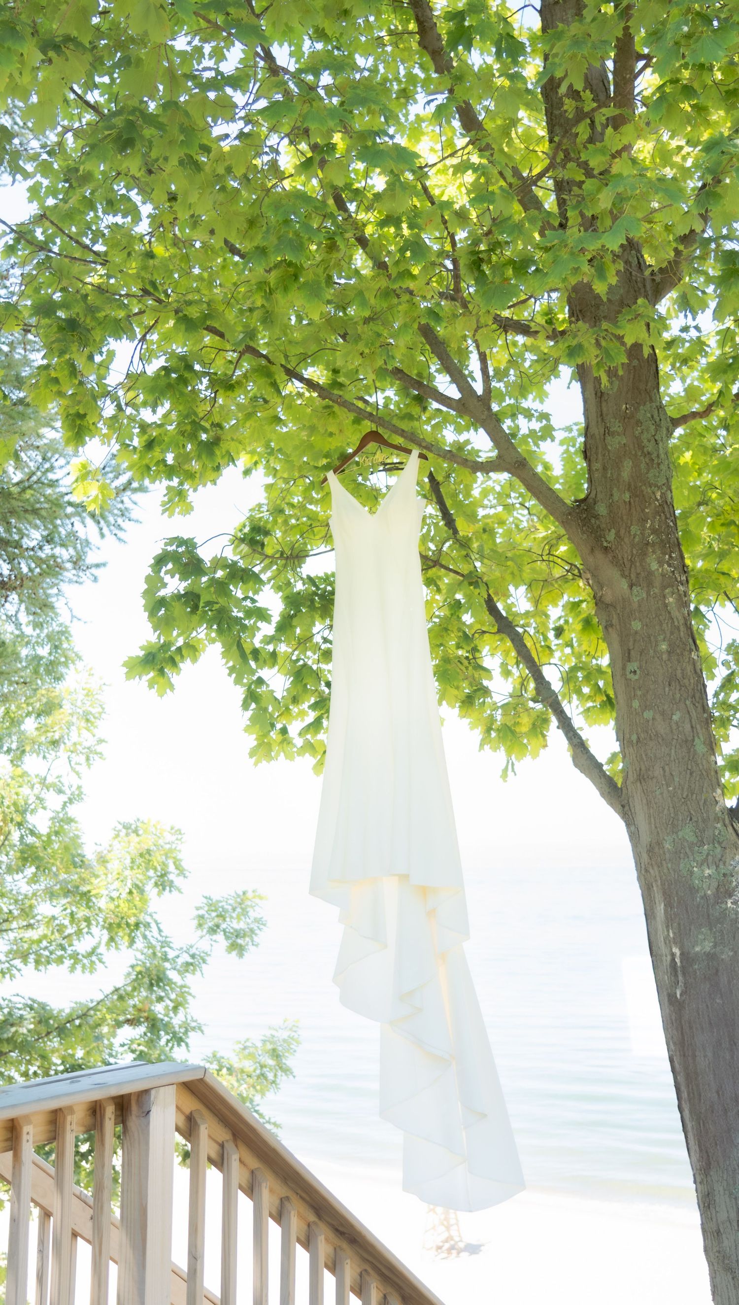 White wedding dress hanging from a tree branch with green maple leaves and sunlight filtering through.