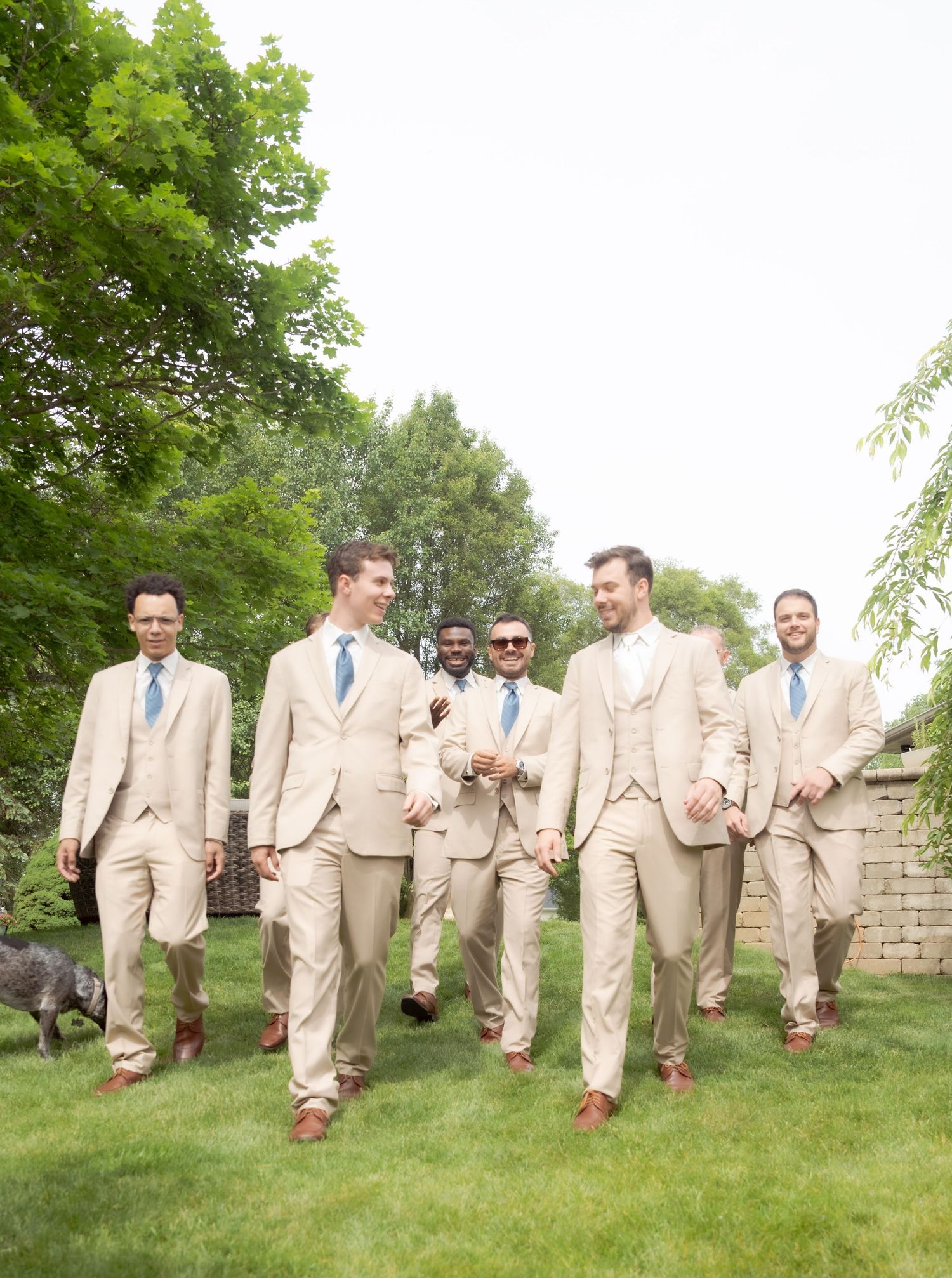 Groomsmen in khaki suits and blue ties walk together on a green lawn beside trees and a stone wall.