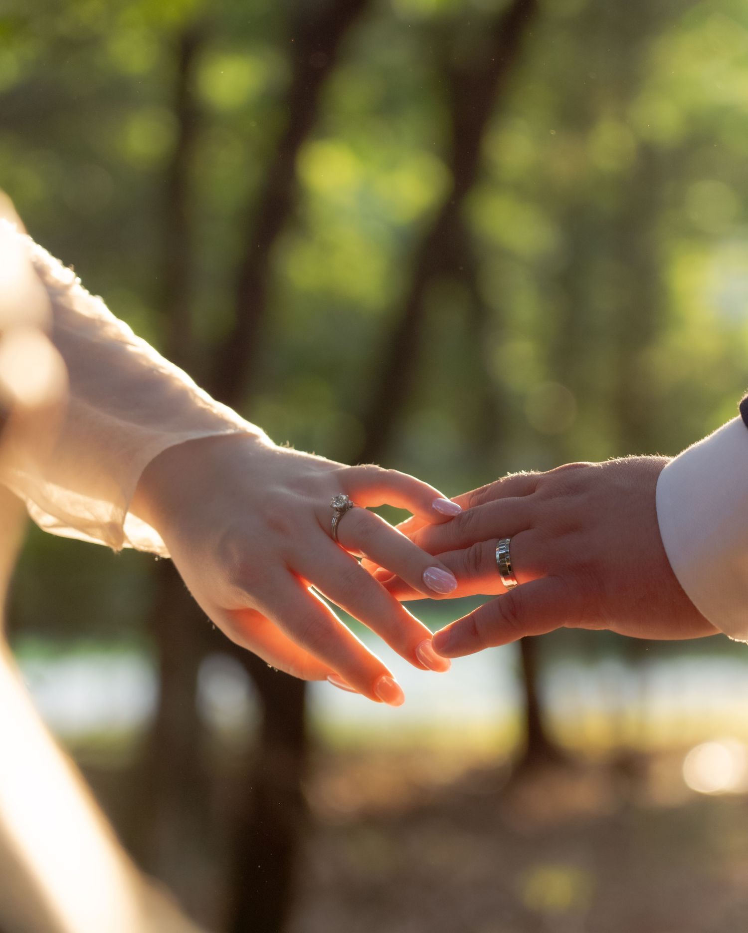 Two hands reaching toward each other in golden sunlight through trees.