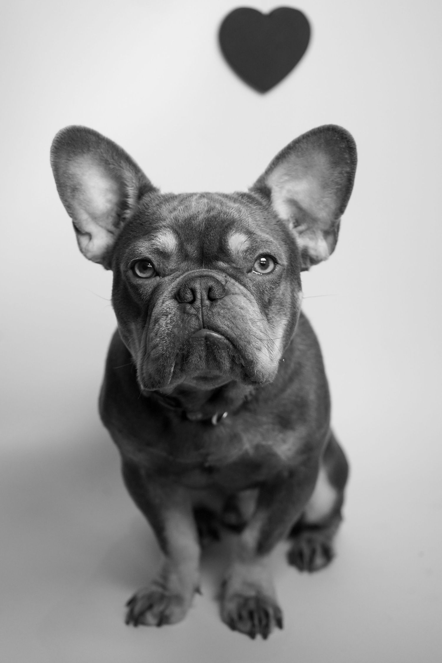 Kimberly Evans Photography