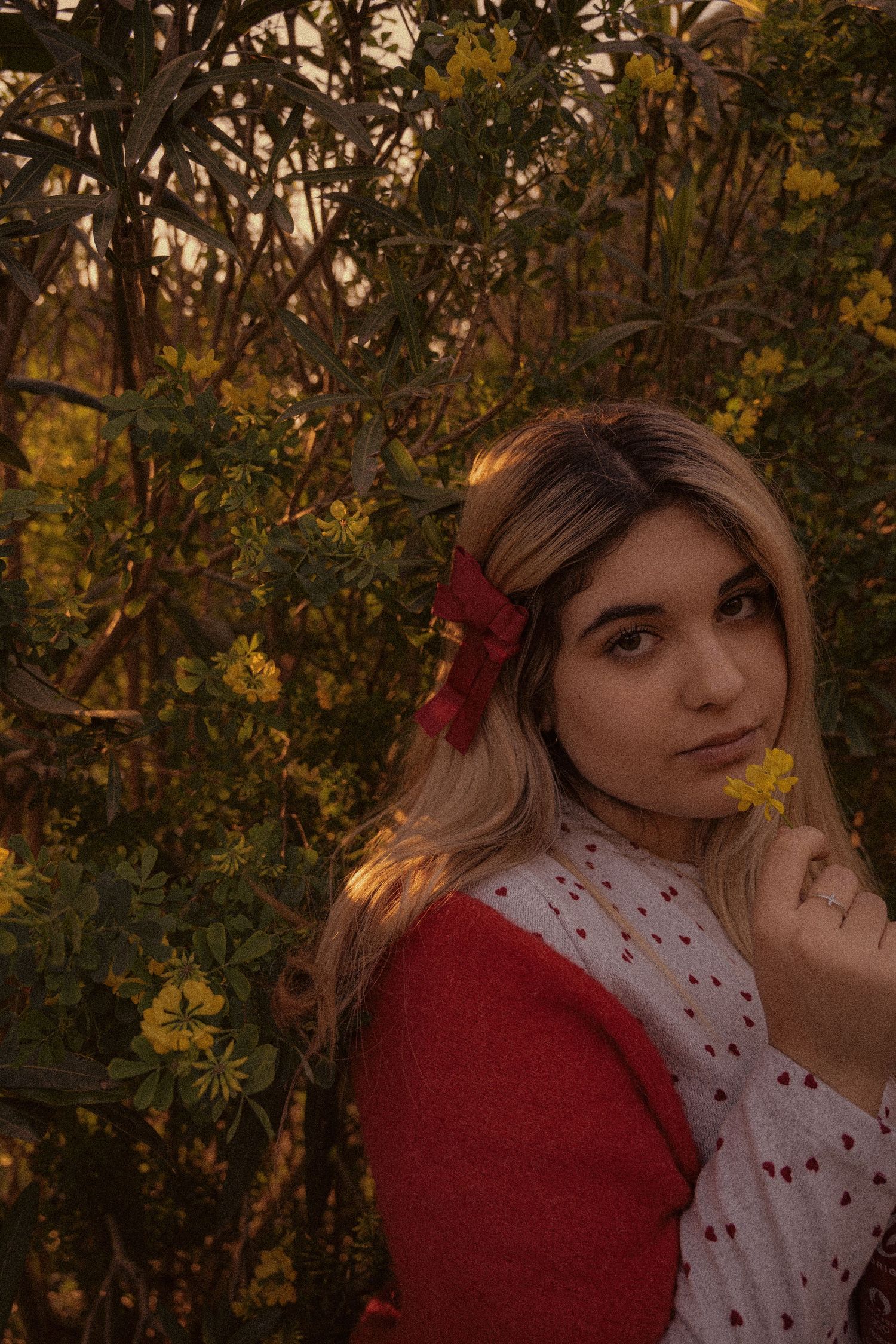 A person in a red sweater and white lace collar poses outdoors against yellow flowers at sunset.