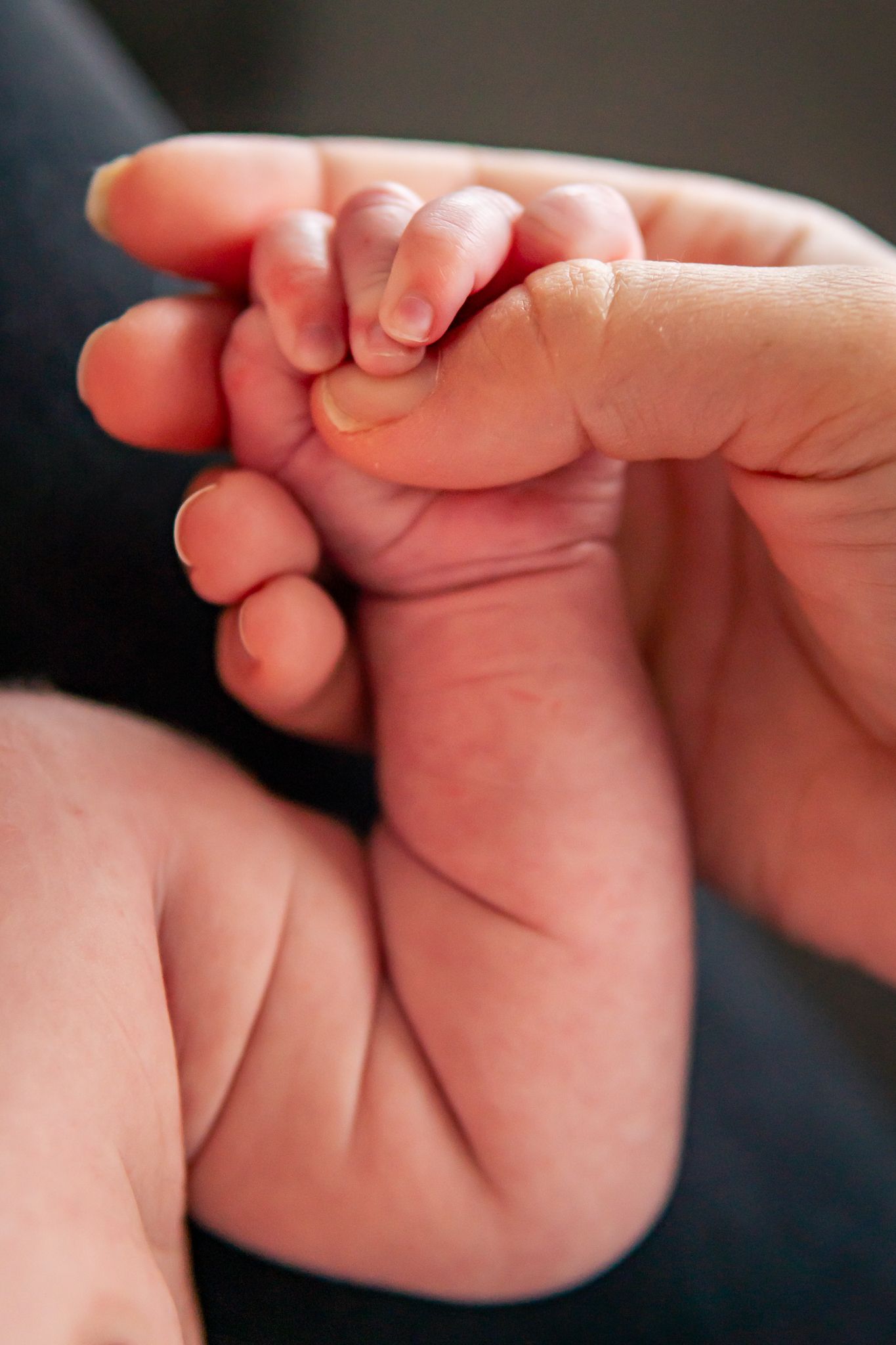 Närbild på en liten bebishand som hålls varsamt av en vuxen hand i mjukt naturligt ljus. Nyföddfotograf, Umeå, Västerbotten