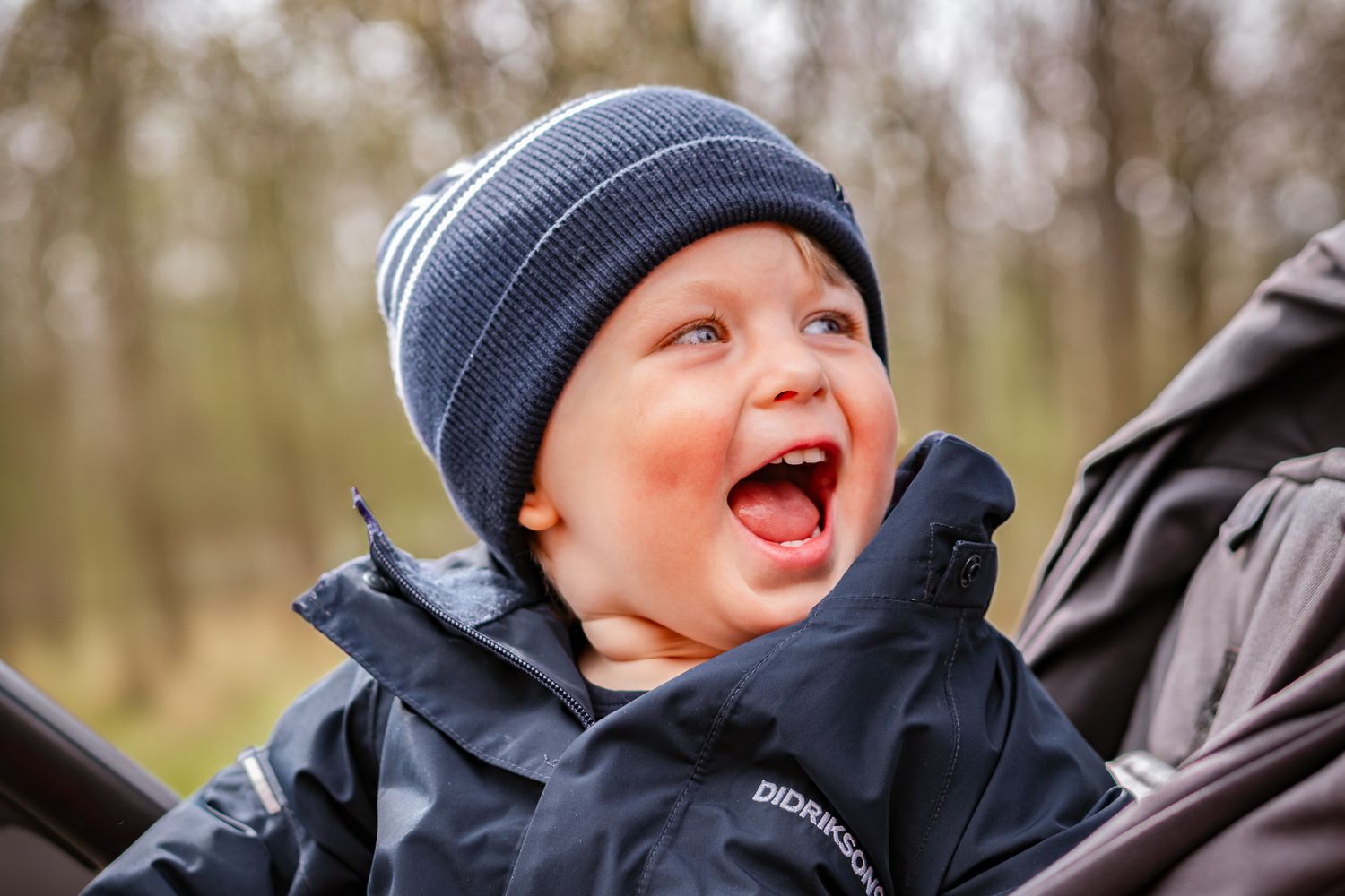 Ett litet barn i marinblå mössa och jacka skrattar med öppen mun i barnvagnen utomhus. Familjefotografering, Umeå, Västerbotten
