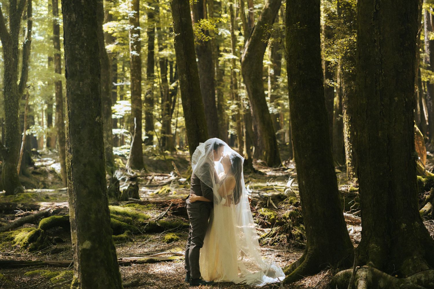 A couple embraces in a sunlit forest while wearing wedding attire, surrounded by tall trees and dappled light.