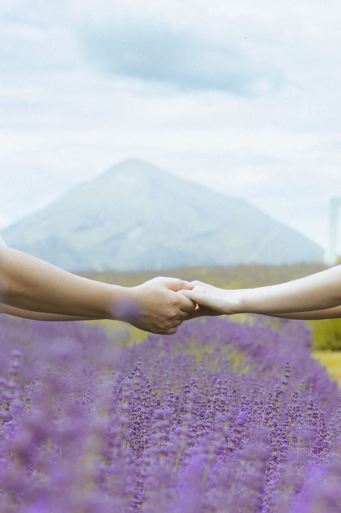 Two hands reach out to hold each other over a beautiful blooming lavender field with mountains in the background.