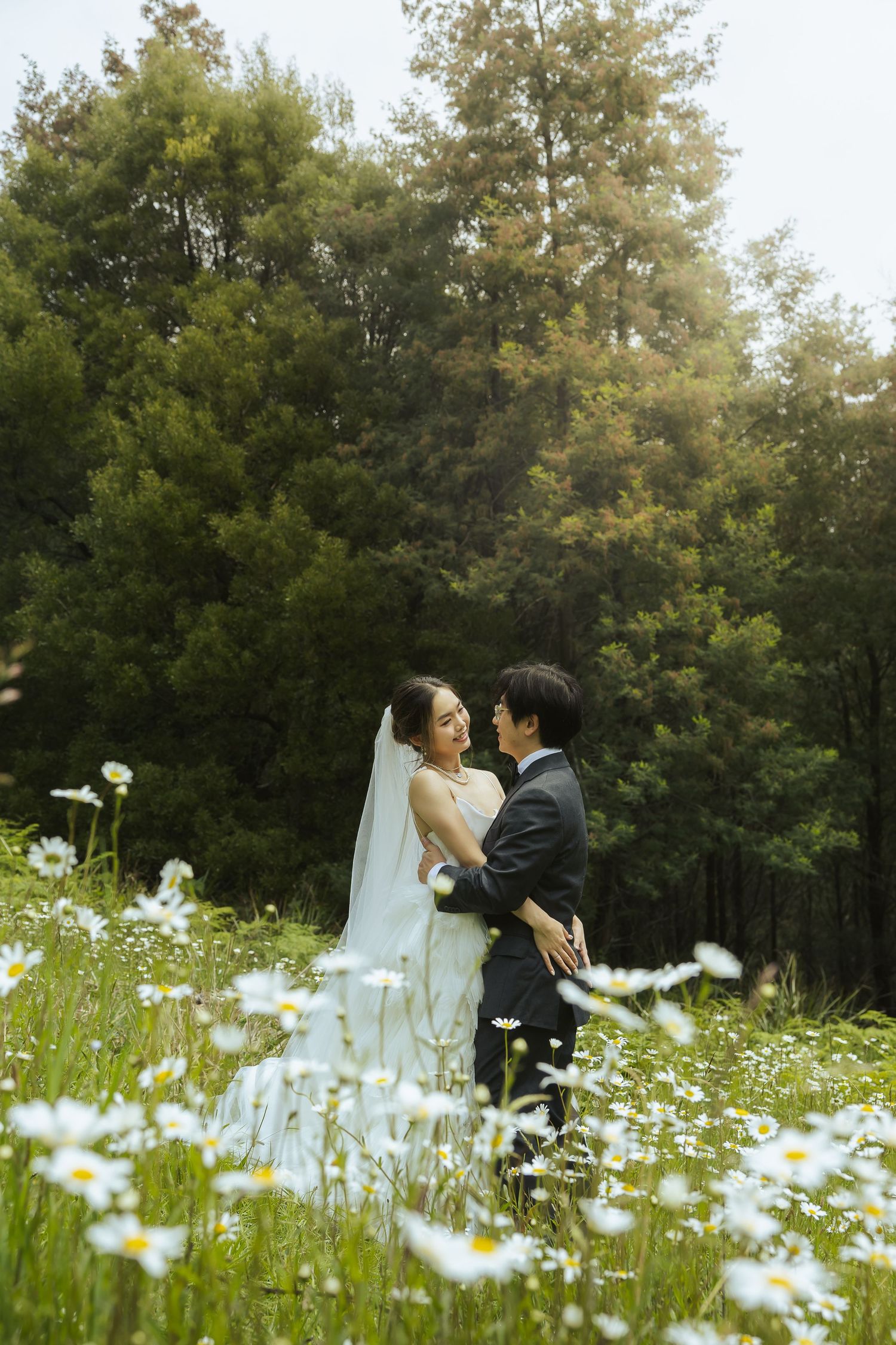 A couple shares an intimate moment in a blooming daisy field with lush green trees in the background.
