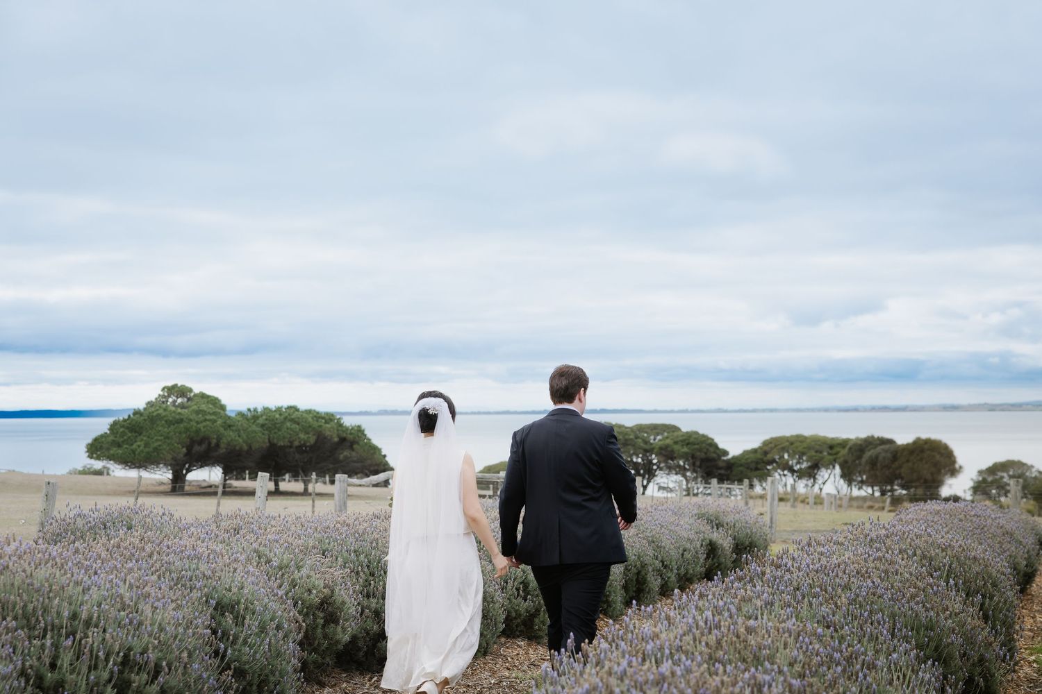 A visitor stands among picturesque rows of blooming lavender fields stretching to the horizon under cloudy skies.