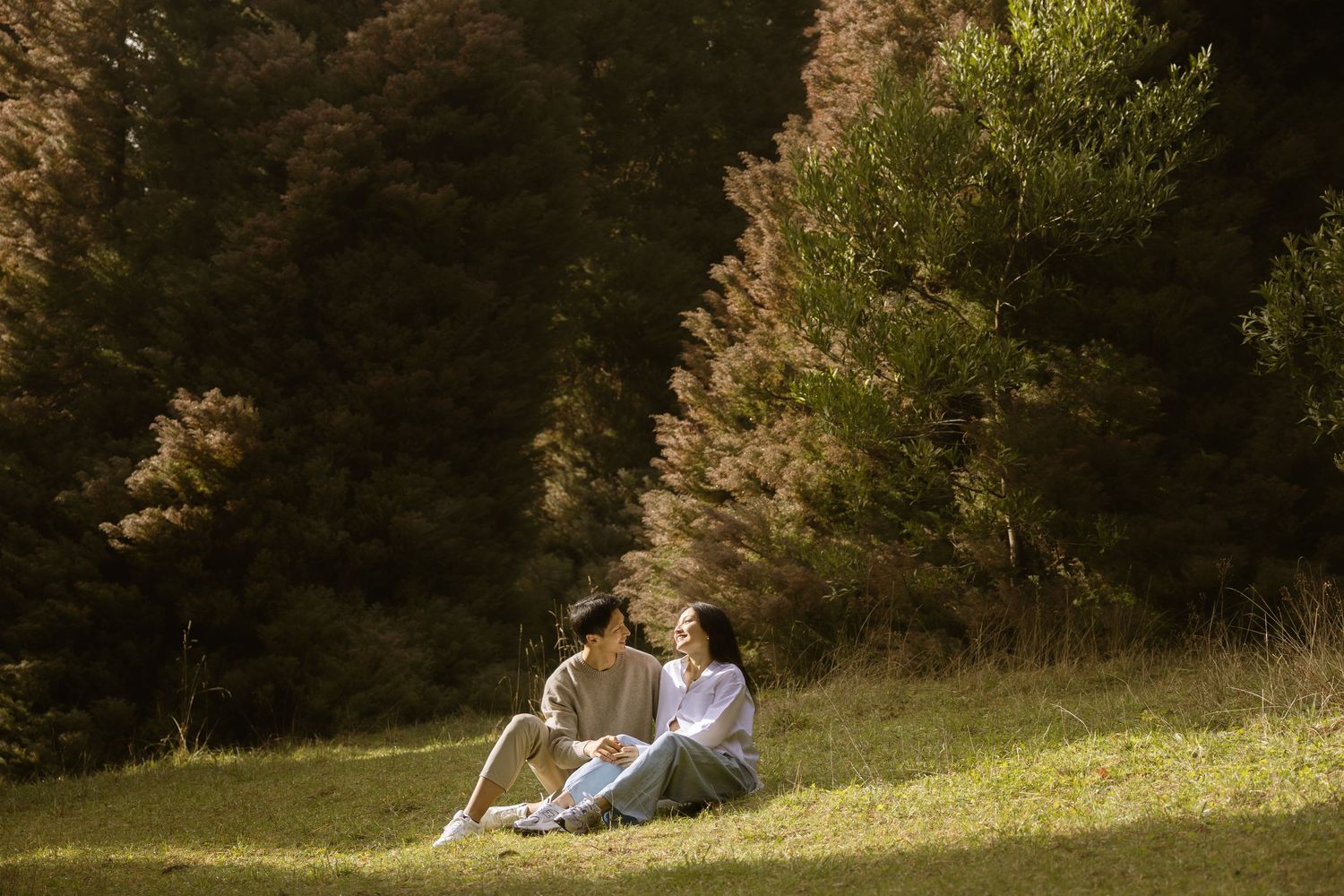 Two people sit together on a sunny grassy hillside surrounded by evergreen trees in a peaceful outdoor setting.