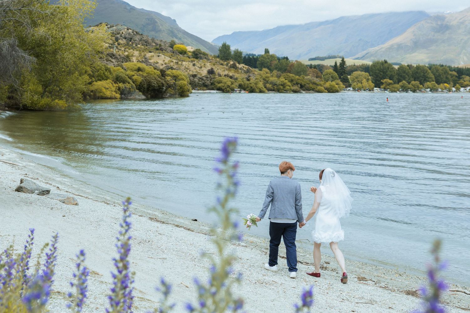 Purple lupins bloom along the shore of Lake Wanaka in New Zealand with mountains in the background.