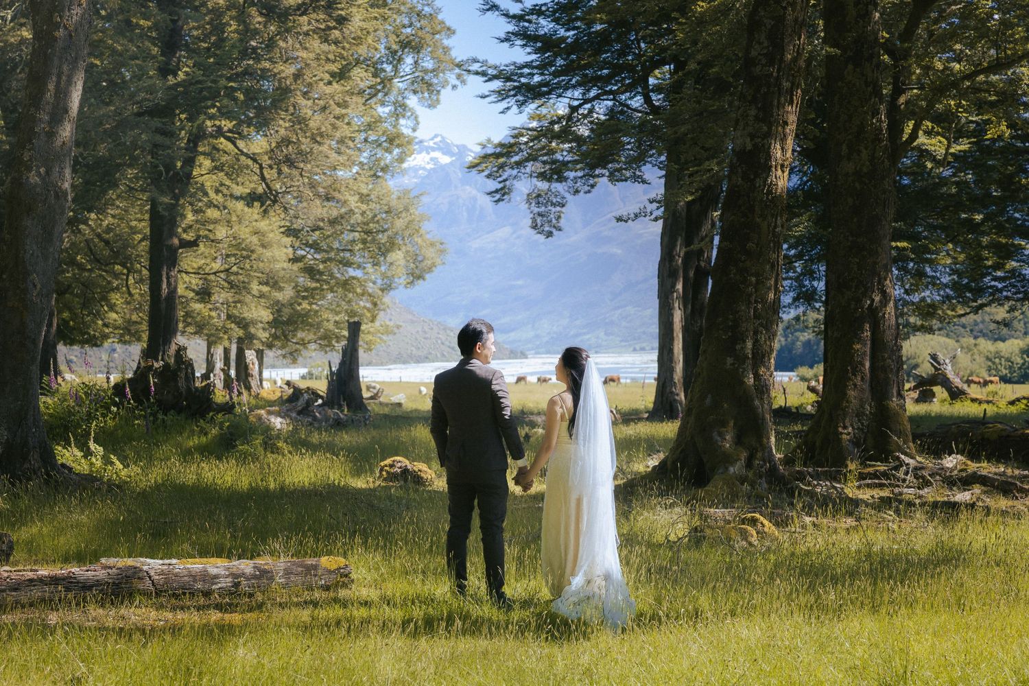 A couple stands together in a sunlit forest clearing overlooking a scenic mountain landscape.