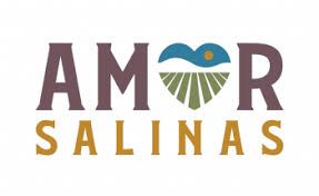 A logo design for Amor Salinas featuring brown text with a stylized heart containing a blue sky and green field motif.