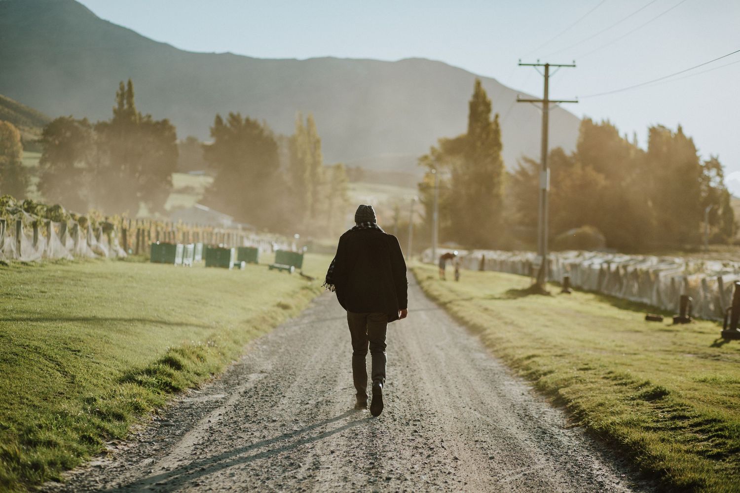 Wine maker Peter Bartle walking alone down rural gravel road through misty vineyard at golden sunrise.
