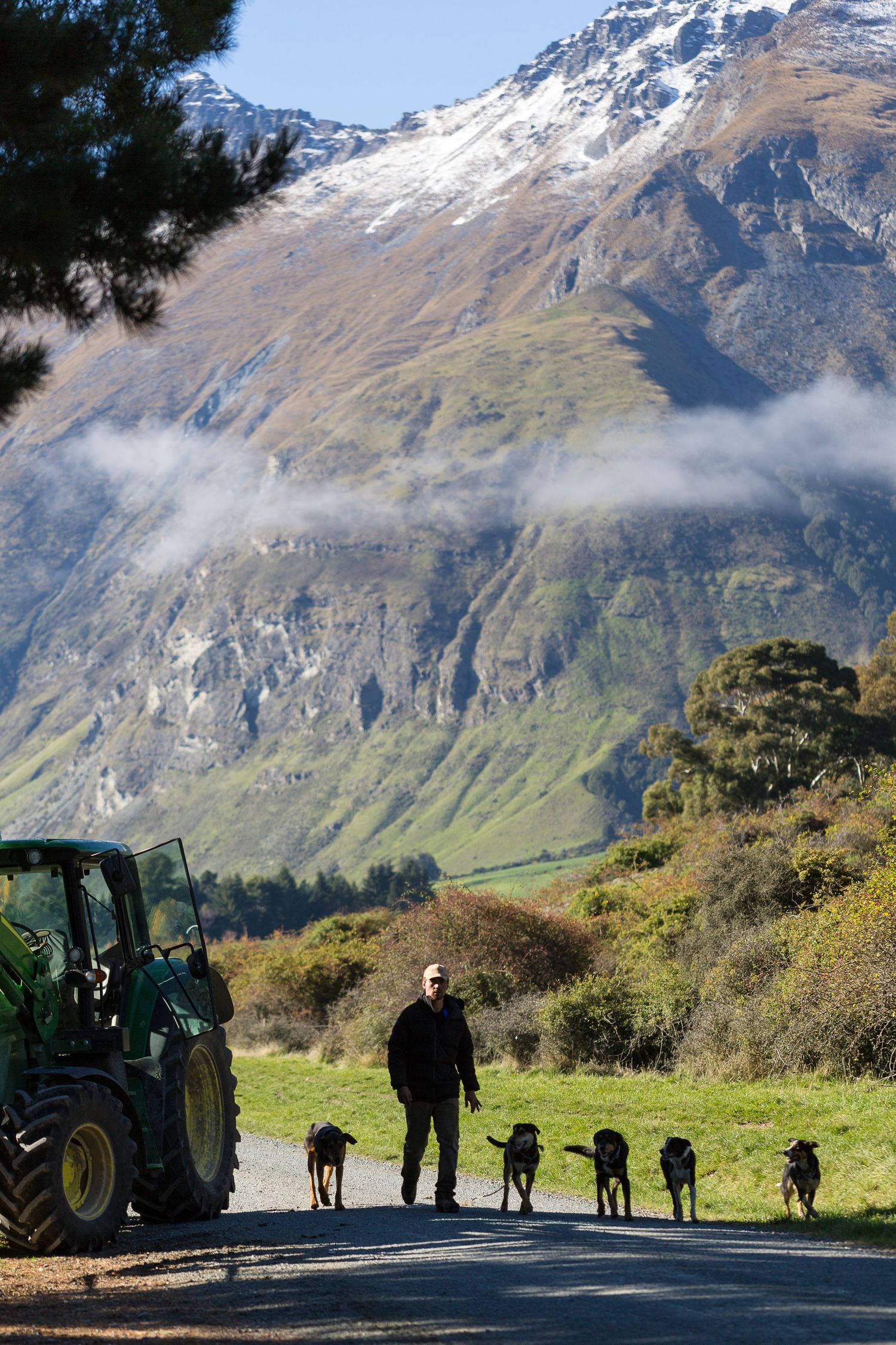 Farmer walking four dogs along rural road beside tractor with dramatic snow-dusted mountain scenery.