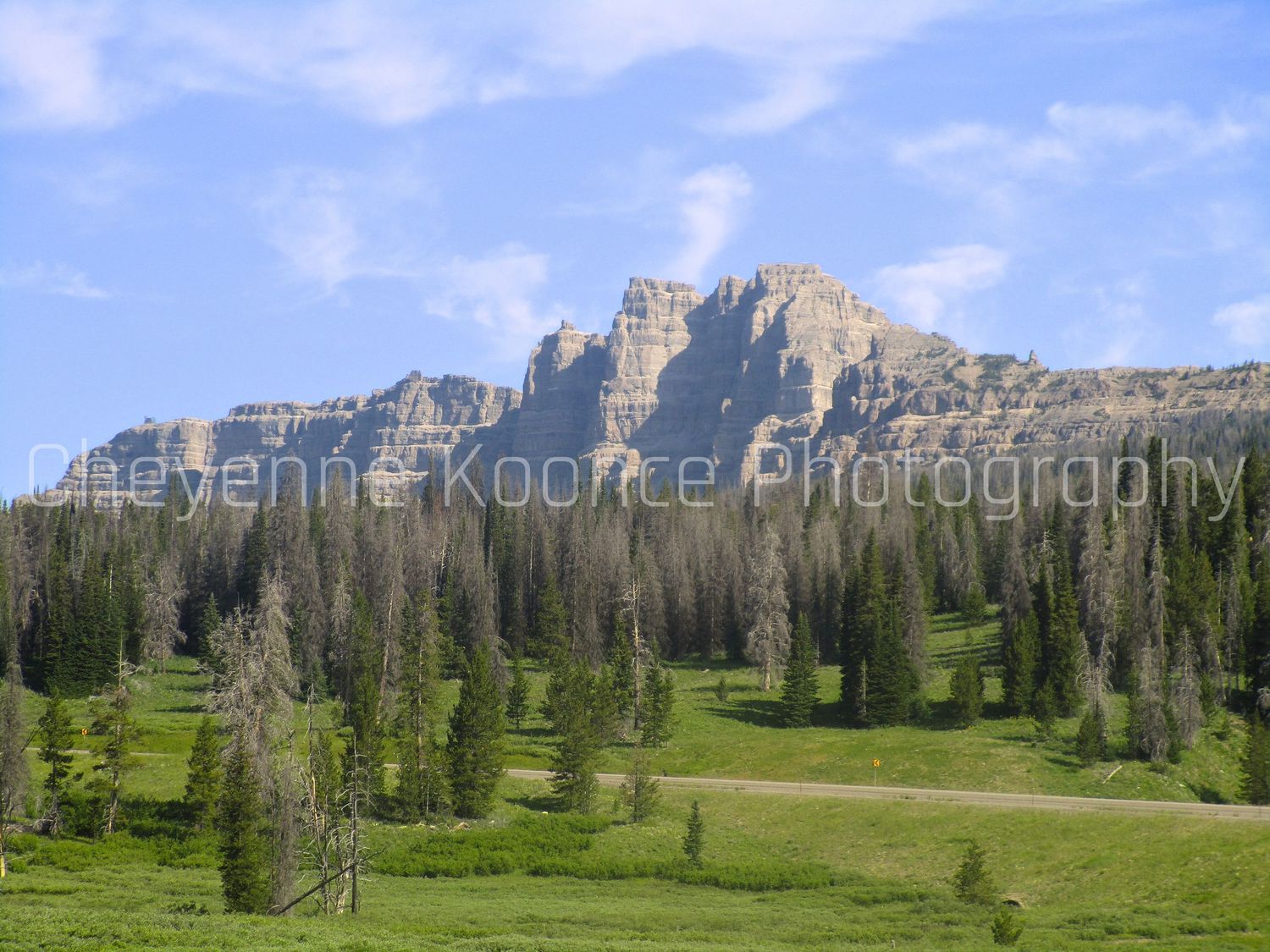 Big mountains with trees and green grass