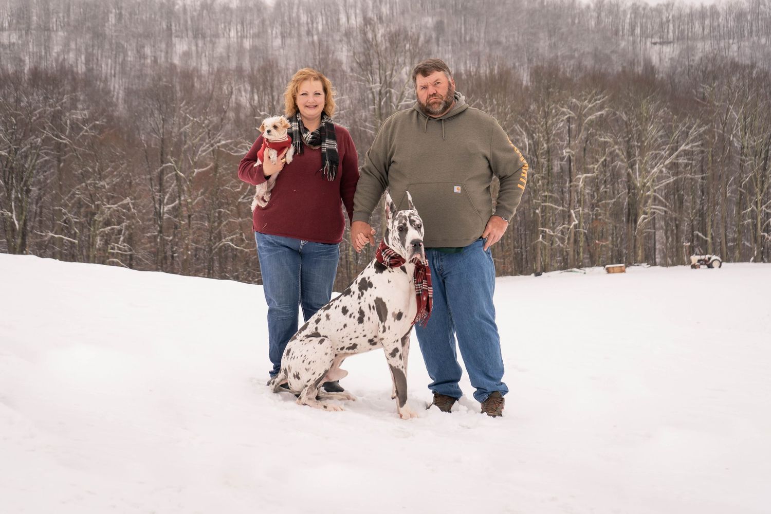 Couple standing in snow with a Great Dane and small dog, surrounded by snow-covered trees in winter.