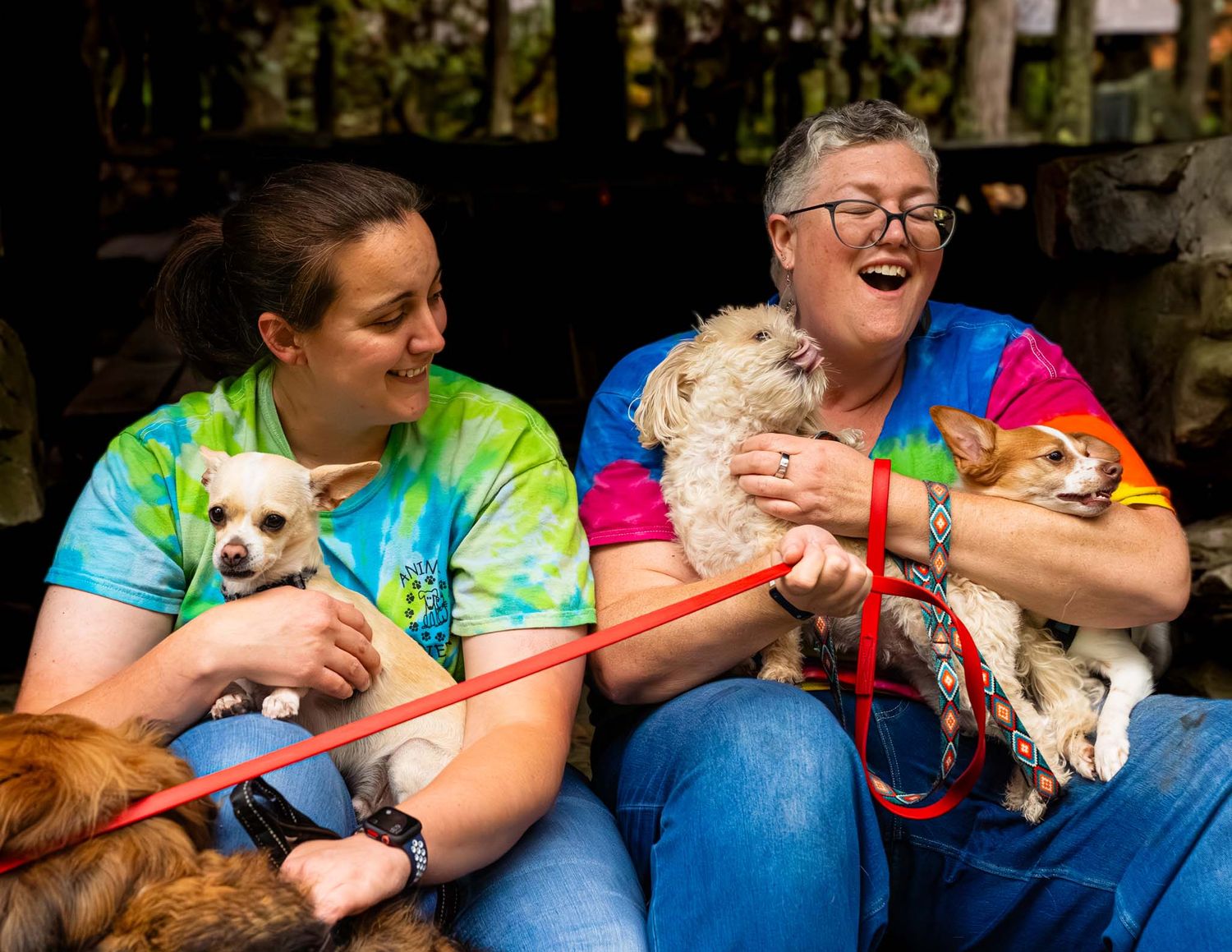 Two women in tie-dye shirts laugh joyfully while holding small dogs on red leashes outdoors.