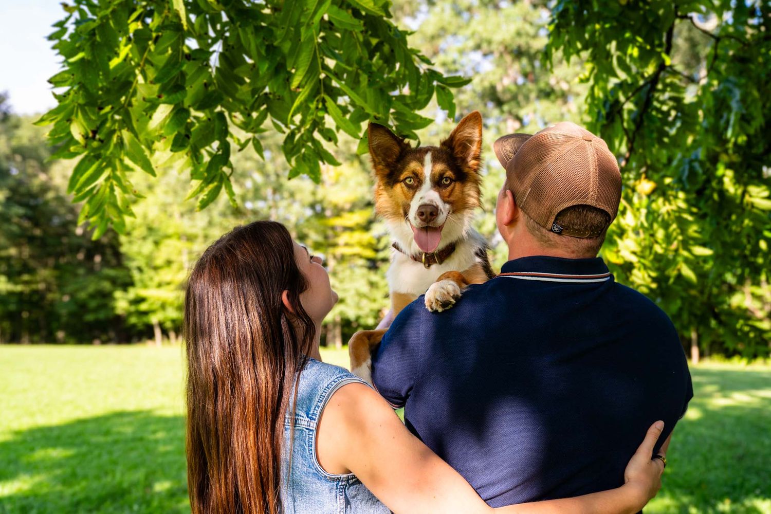 Woman looks up as man holds brown and white Corgi dog under leafy green tree branches in park.