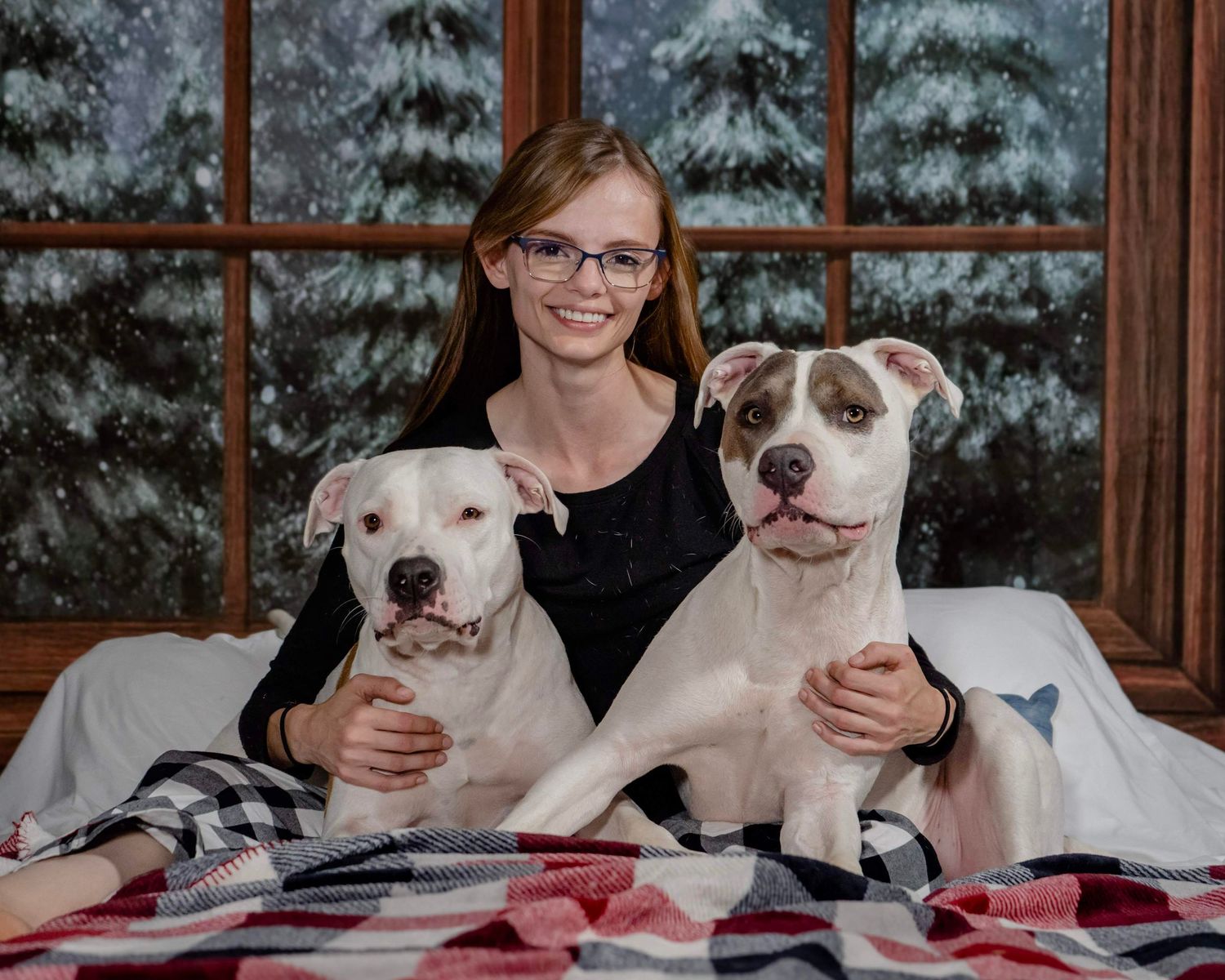 Young woman with glasses smiling between two white pit bull dogs on a plaid blanket with snowy window backdrop.