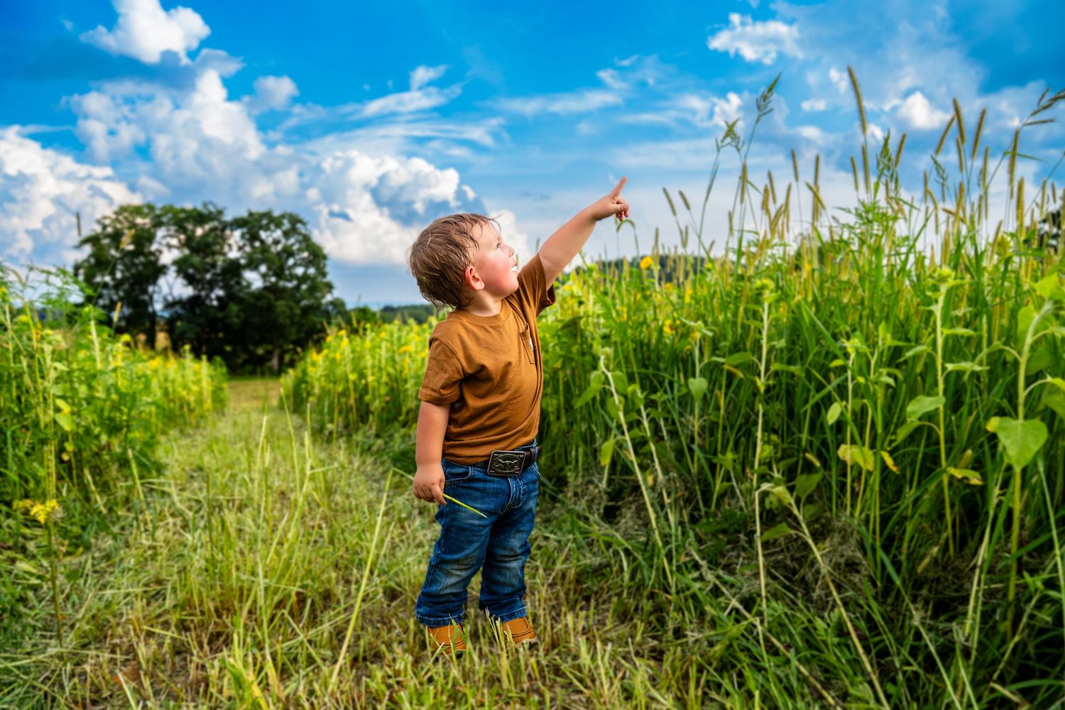 Young boy in brown shirt and jeans pointing up at sky while standing in lush green field on sunny day.
