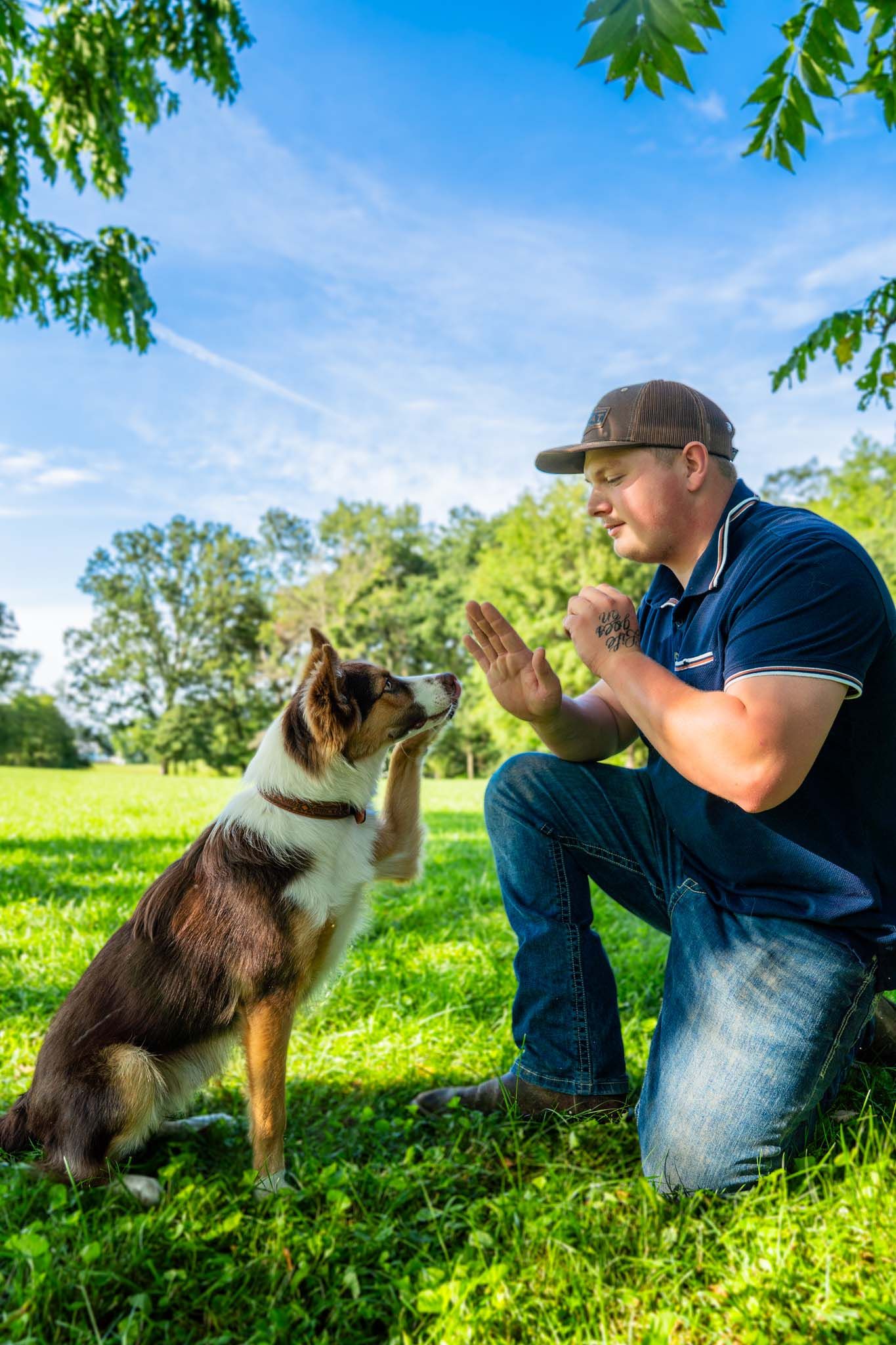 Man in baseball cap kneels on green grass teaching brown and white Border Collie dog high-five trick.