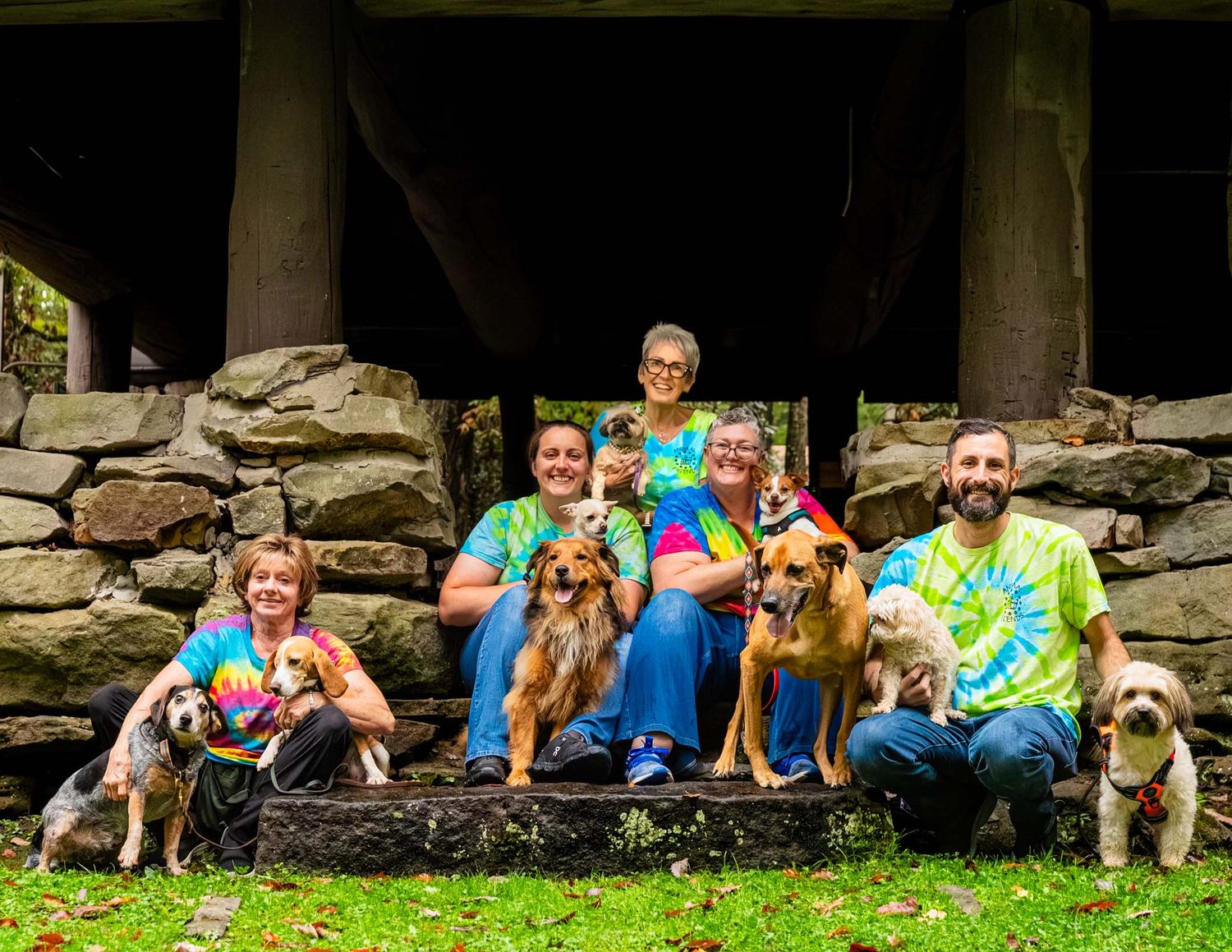 Five people in tie-dye shirts posing with dogs on stone steps beneath a wooden outdoor structure.