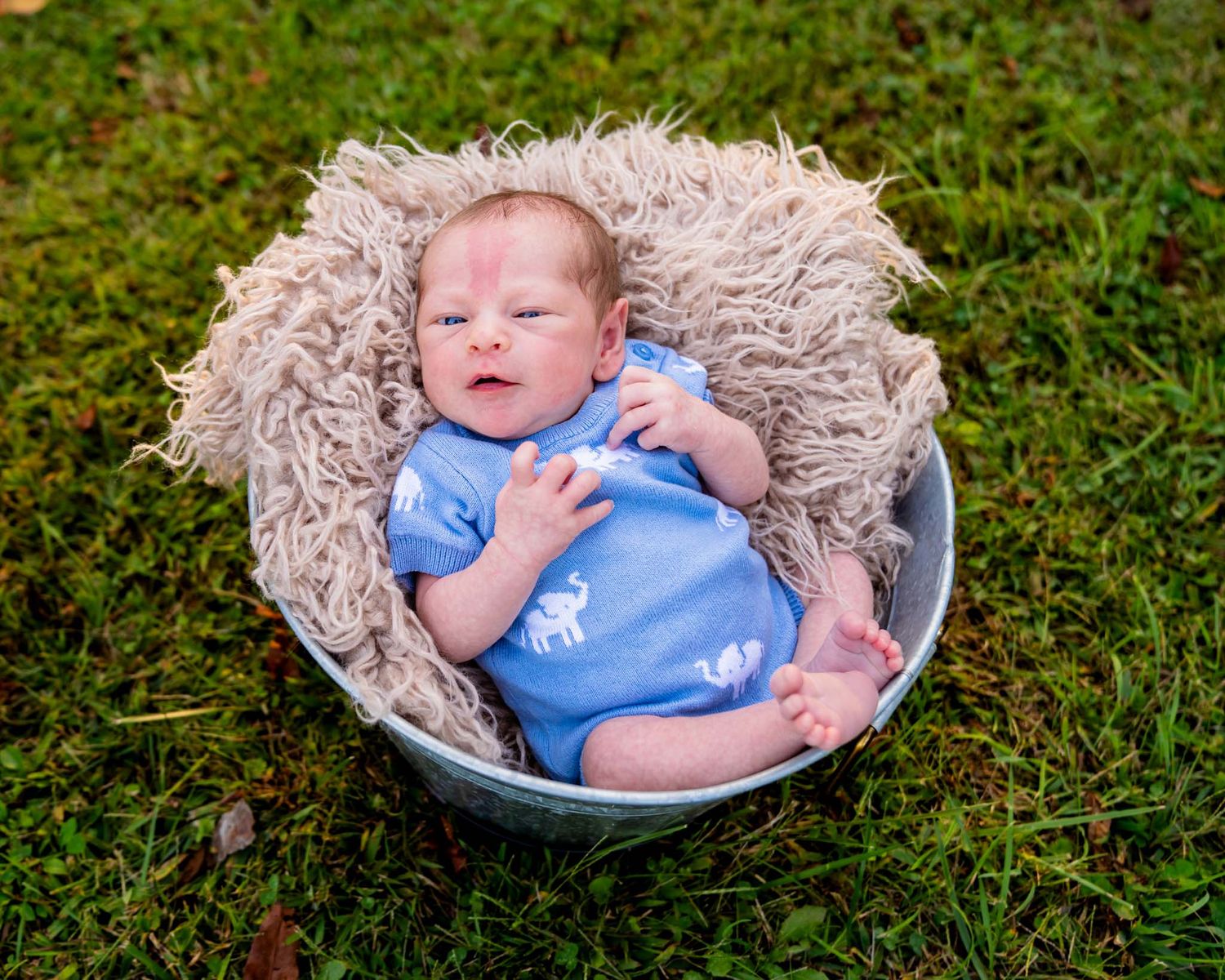 Newborn baby in blue camel onesie sleeping in a metal bucket with fluffy blanket on green grass outdoors.
