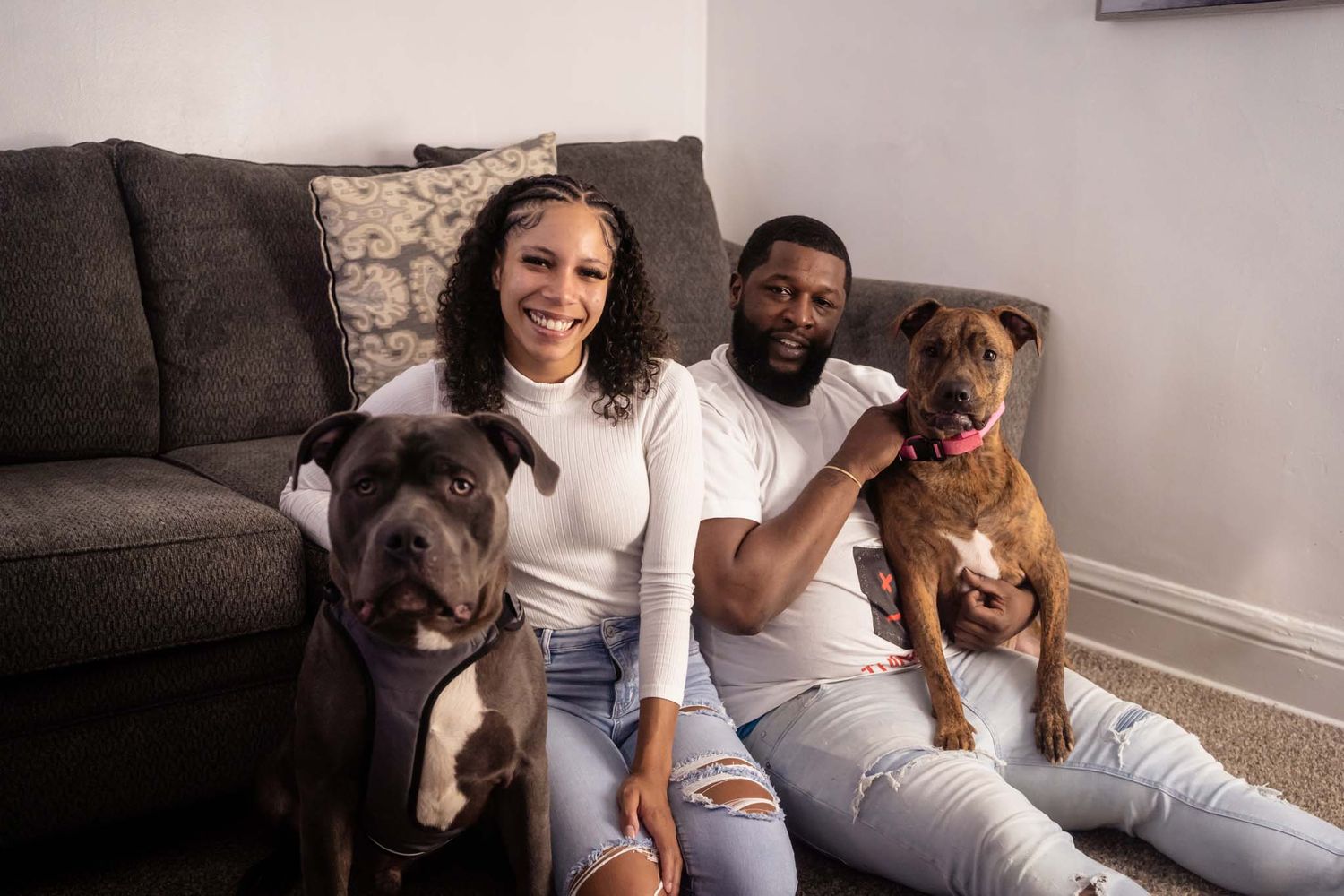 Happy couple posing with two pit bull dogs on carpet in front of a gray sofa indoors.