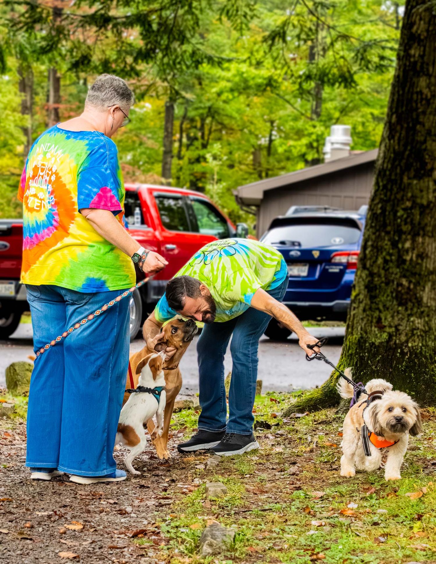 Two people in tie-dye shirts walking three dogs on leashes in a wooded parking area.