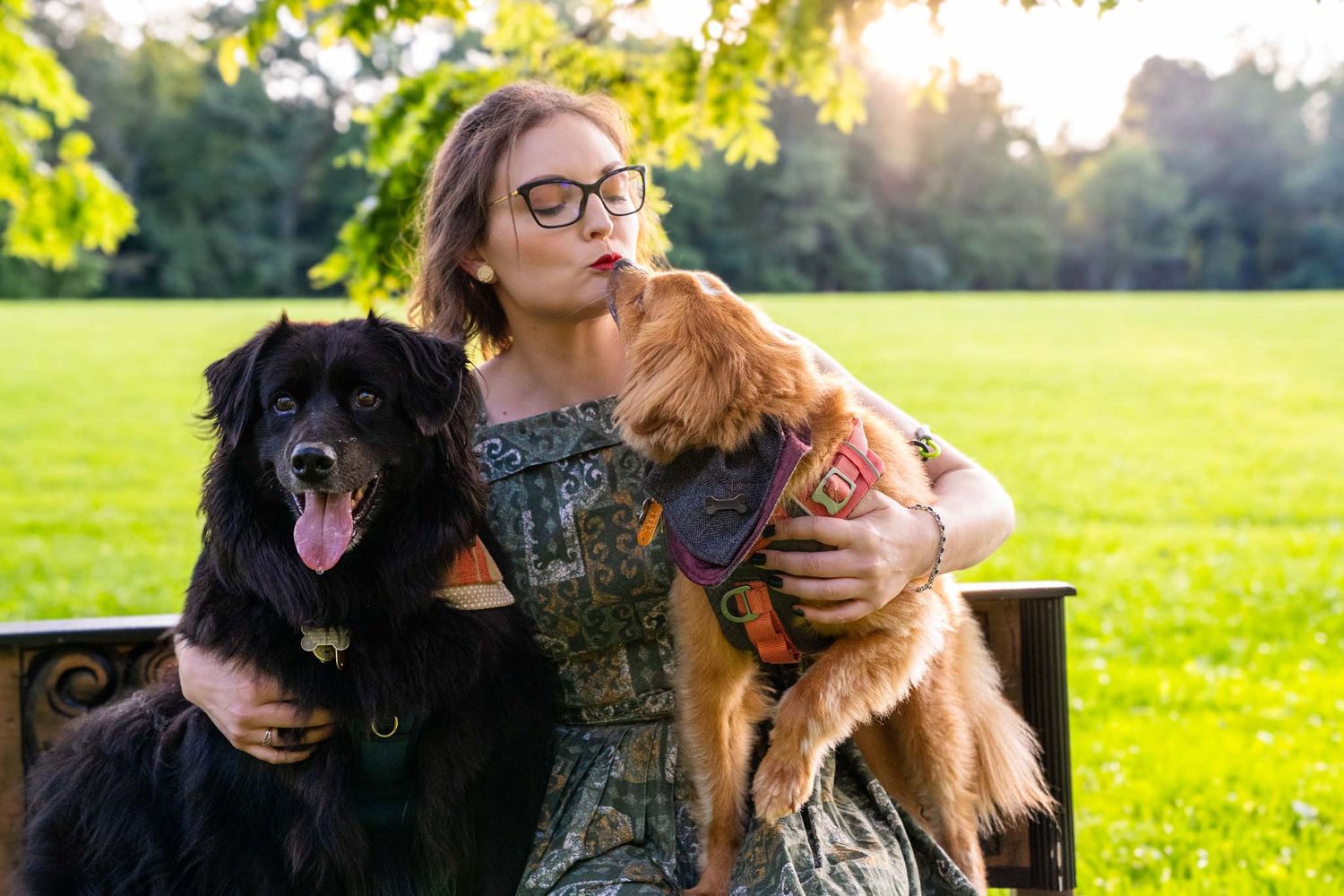 Woman with glasses sitting on bench with large black dog and golden retriever at sunset.