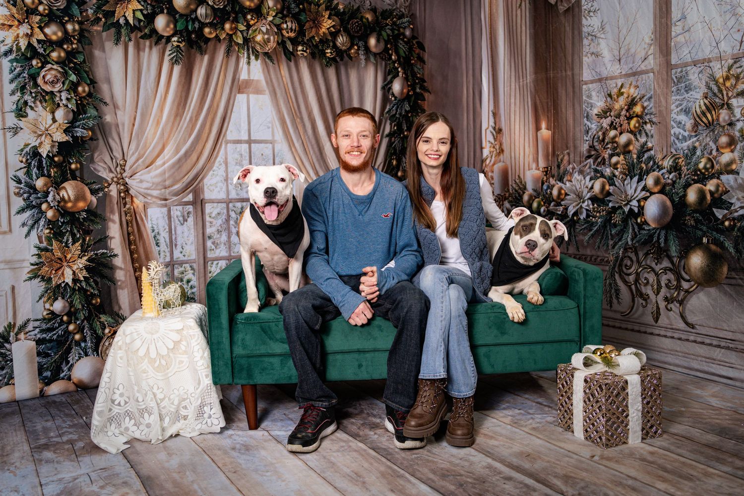 Couple smiling on green sofa with two pit bulls in elegant Christmas holiday photo studio.