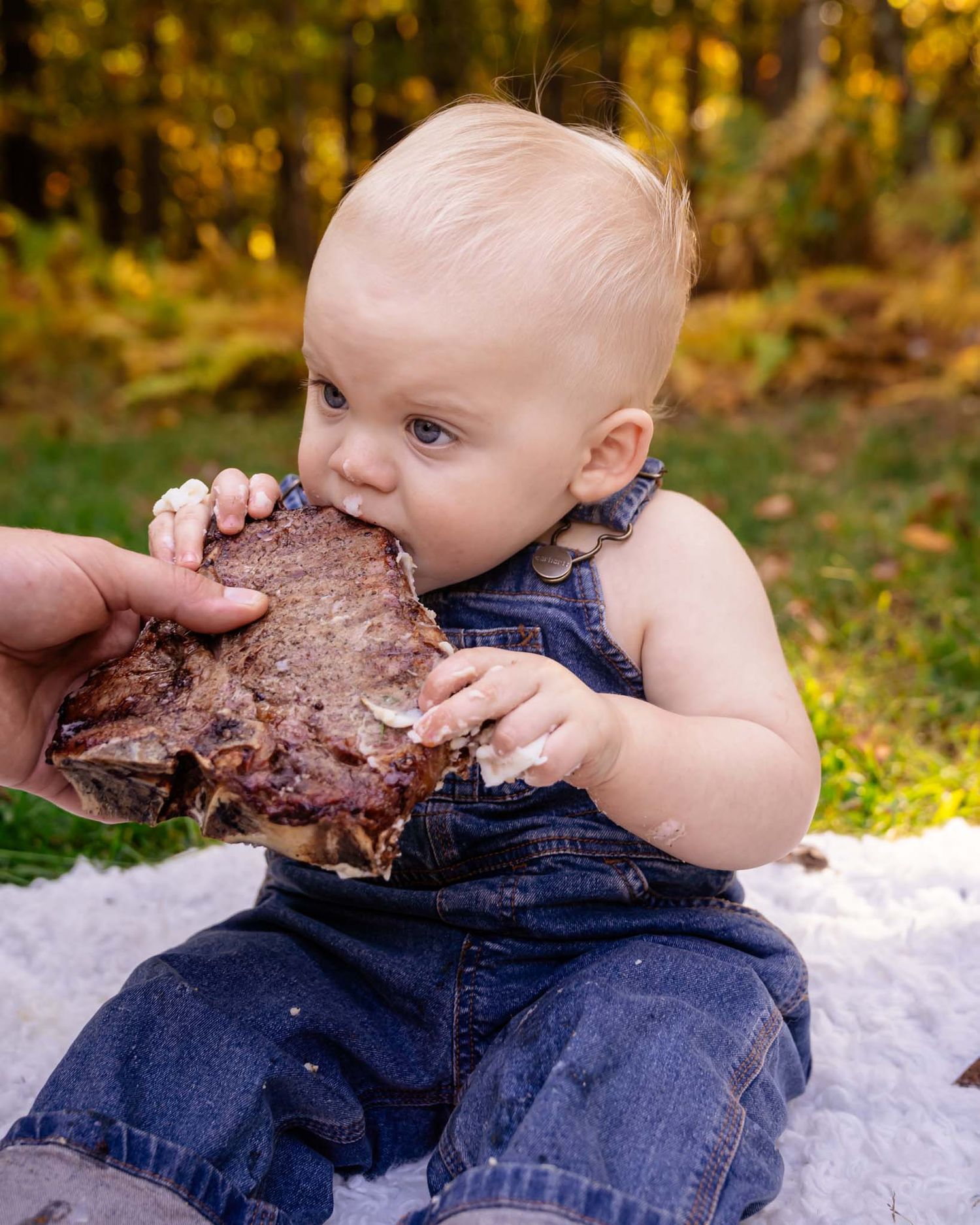 A baby in denim overalls eagerly biting into a large piece of meat outdoors on a white blanket.
