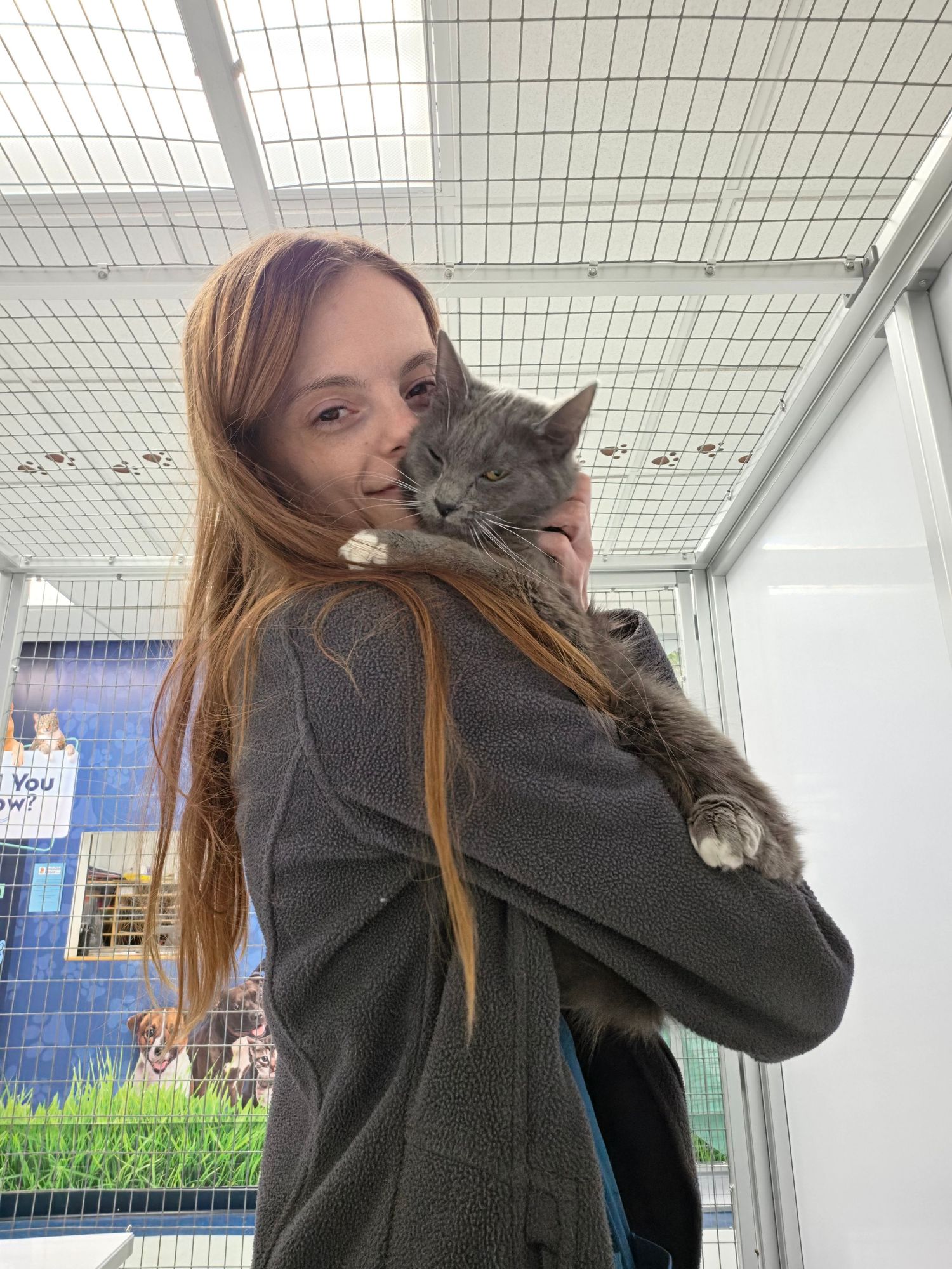 A young woman with long red hair holds a fluffy gray cat close to her face inside an animal shelter.