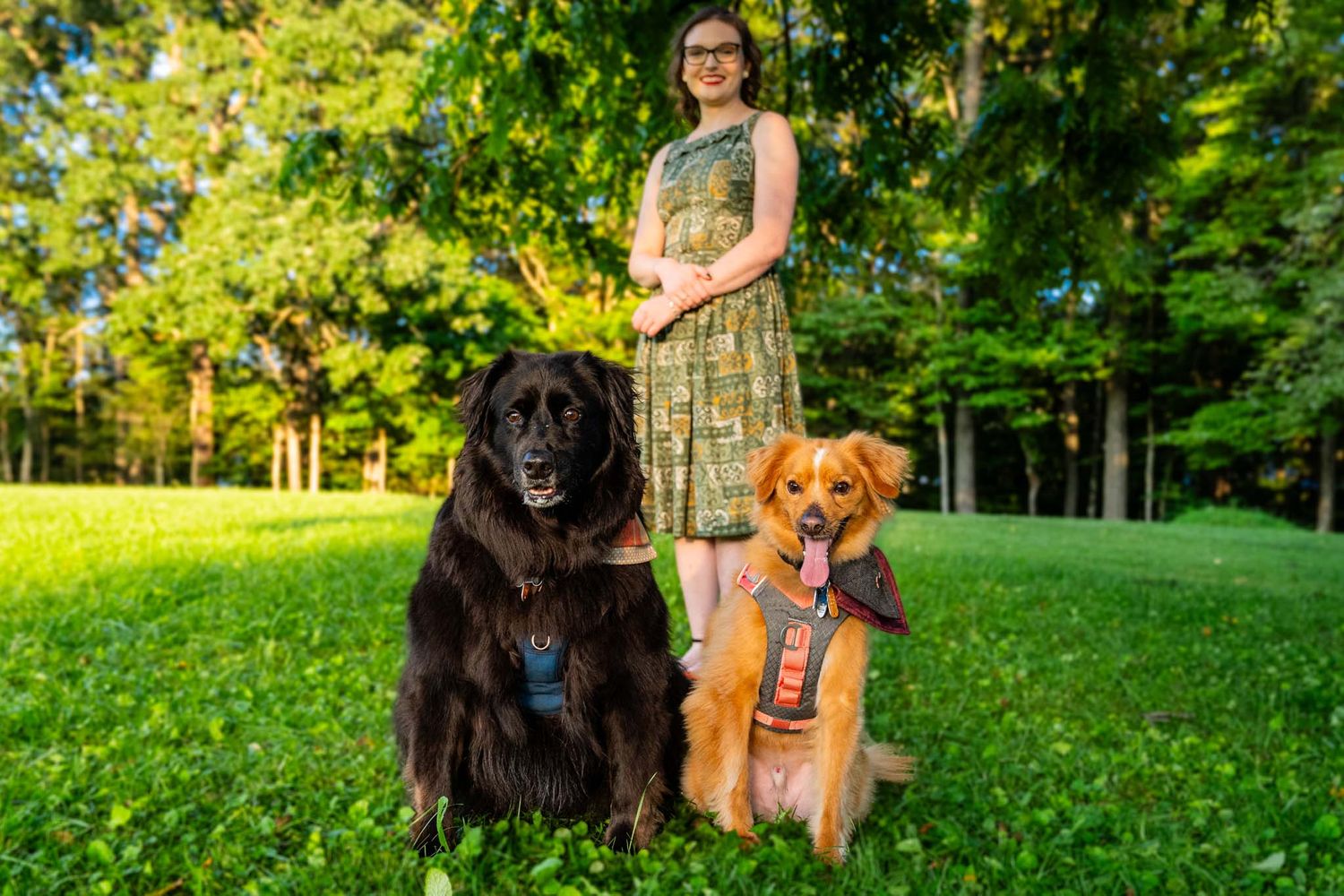 Woman standing on green grass with a large black dog and golden retriever in a park.