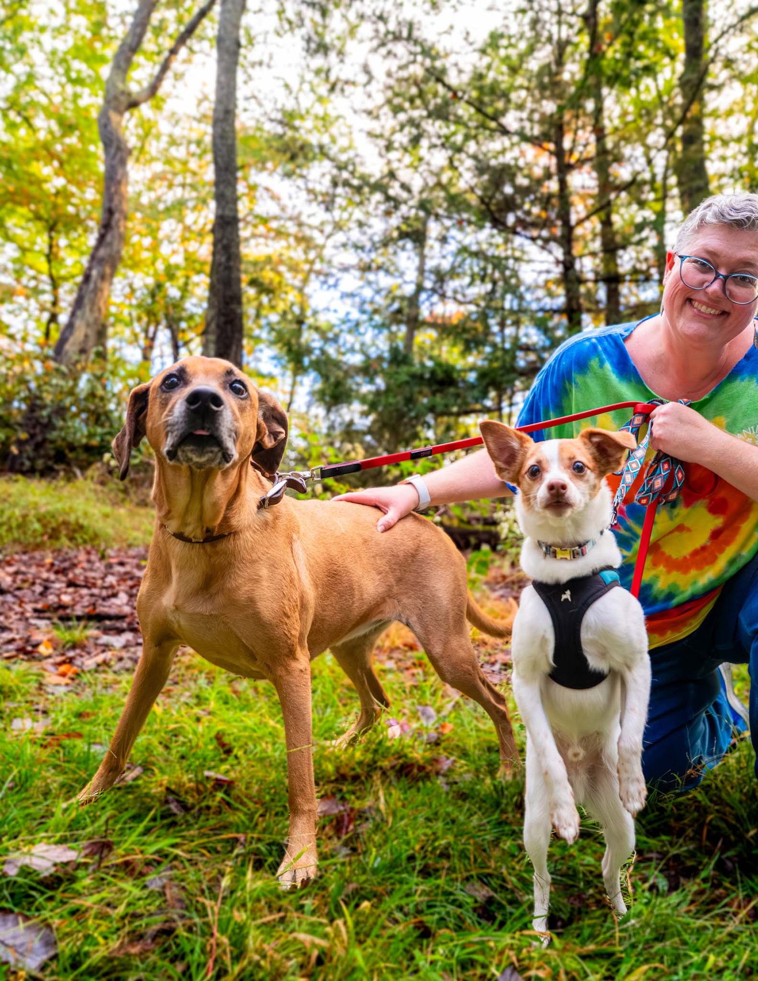 Woman in tie-dye shirt smiles while holding leashes of a large tan hound and small terrier outdoors.