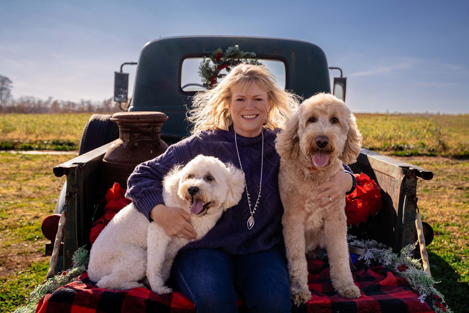 Cheerful woman sitting on a vintage truck tailgate with two fluffy white dogs on a sunny day.